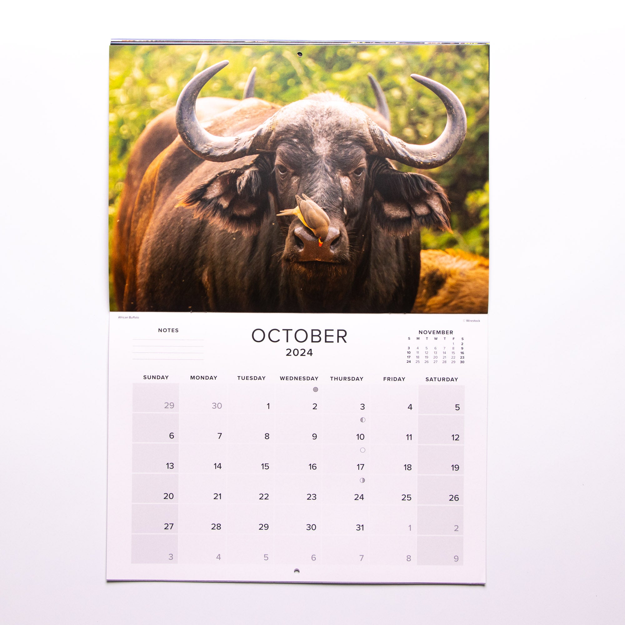 2024 The Big Five of South Africa Calendar - Large