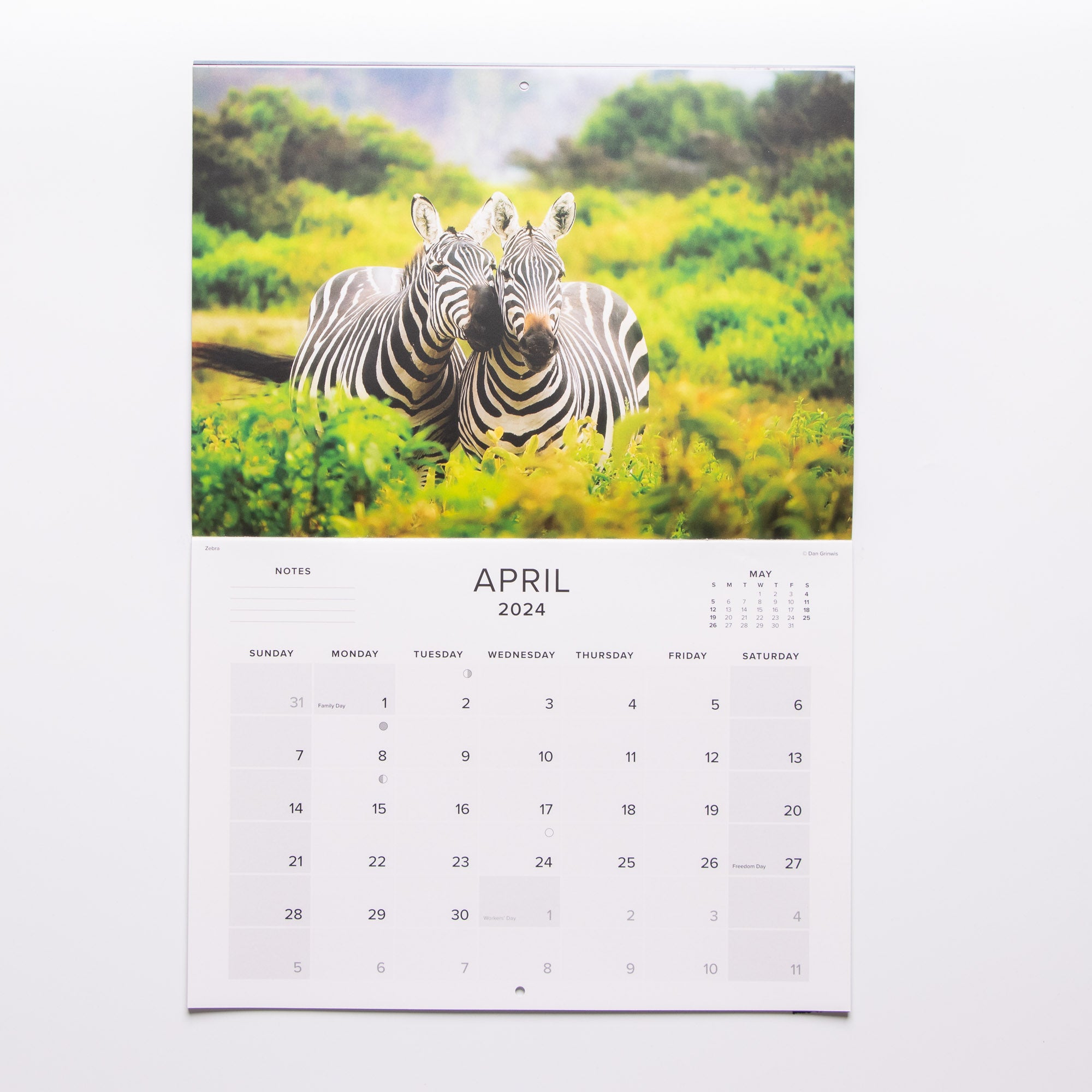 2024 Wildlife South Africa Calendar - Large