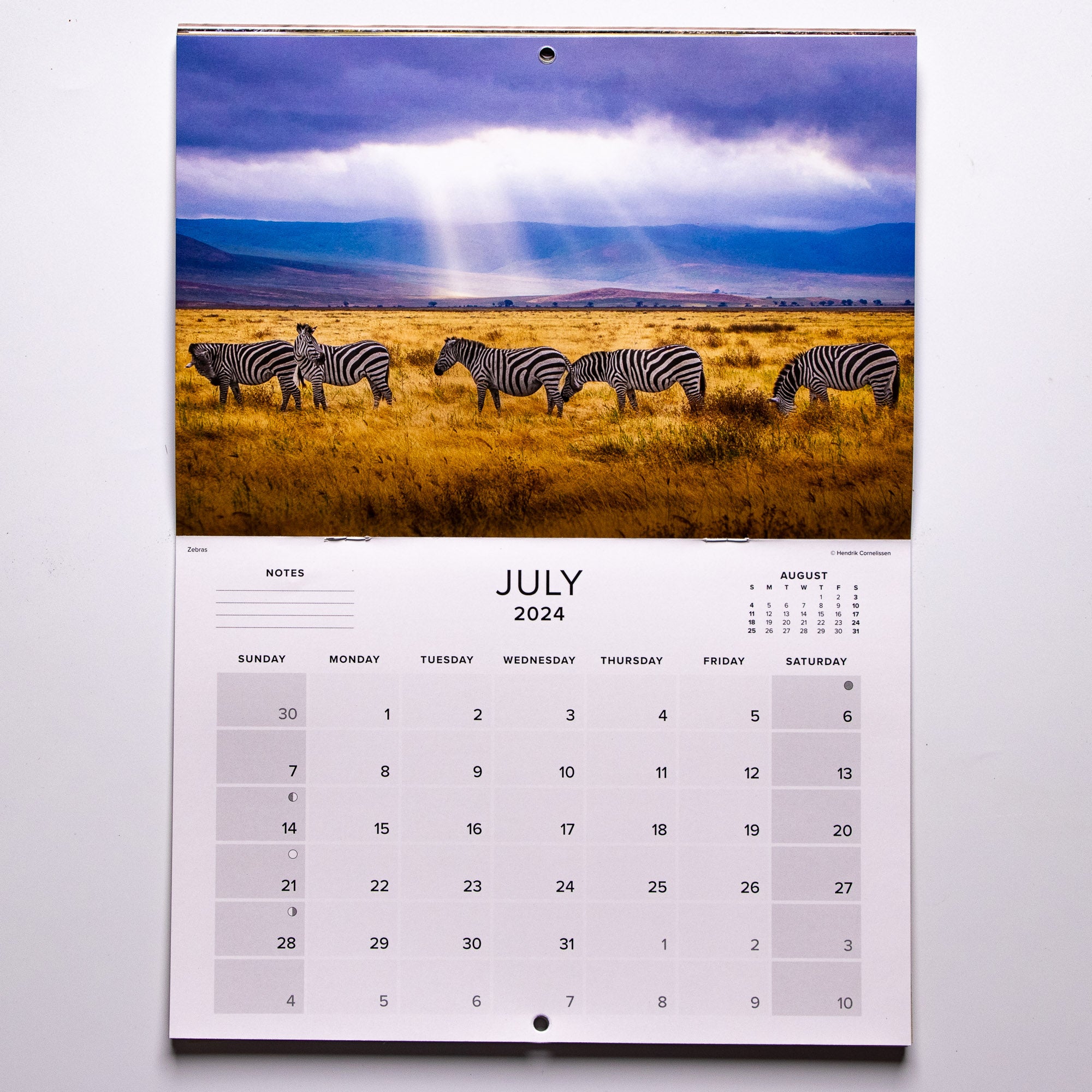 2024 Wildlife South Africa Calendar - Medium