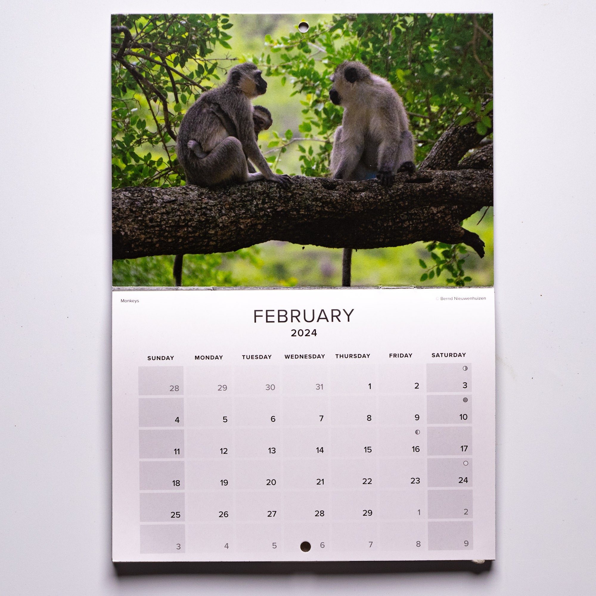 2024 Wildlife South Africa Calendar - Small
