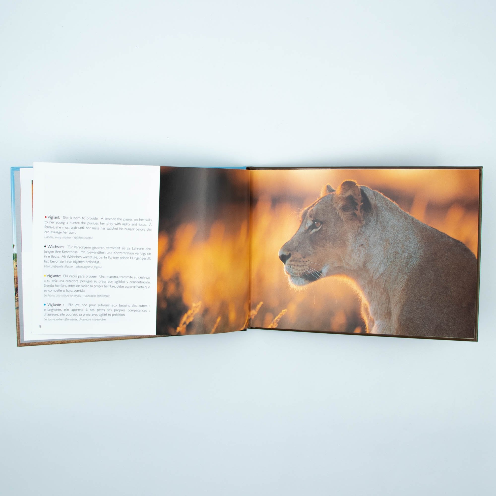 Wild Life Hard Cover Coffee Small Table Book