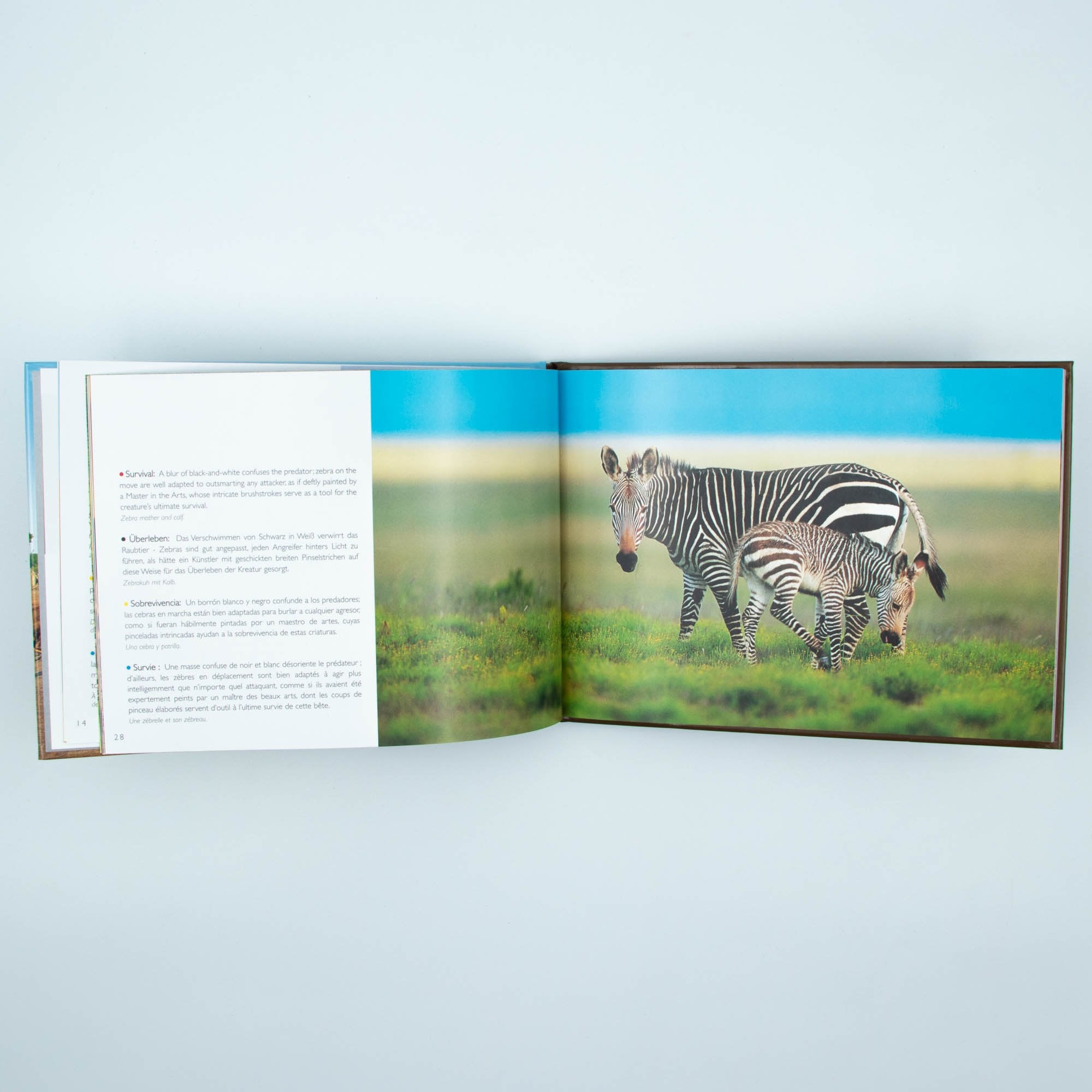 Wild Life Hard Cover Coffee Small Table Book