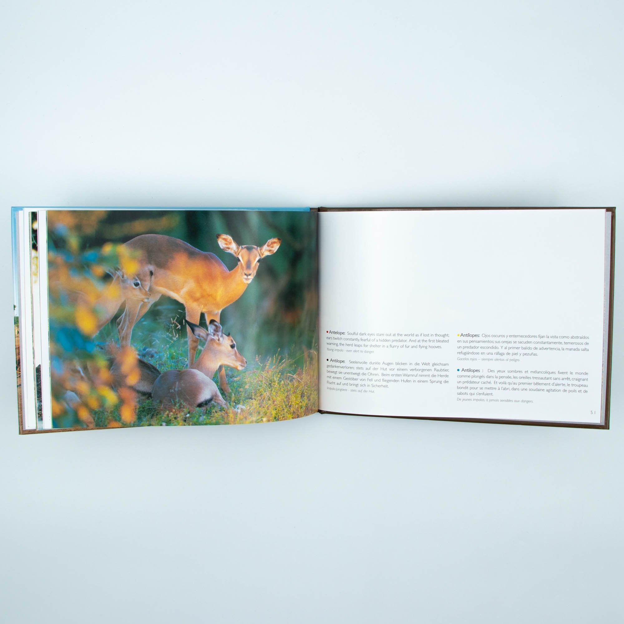 Wild Life Hard Cover Coffee Small Table Book