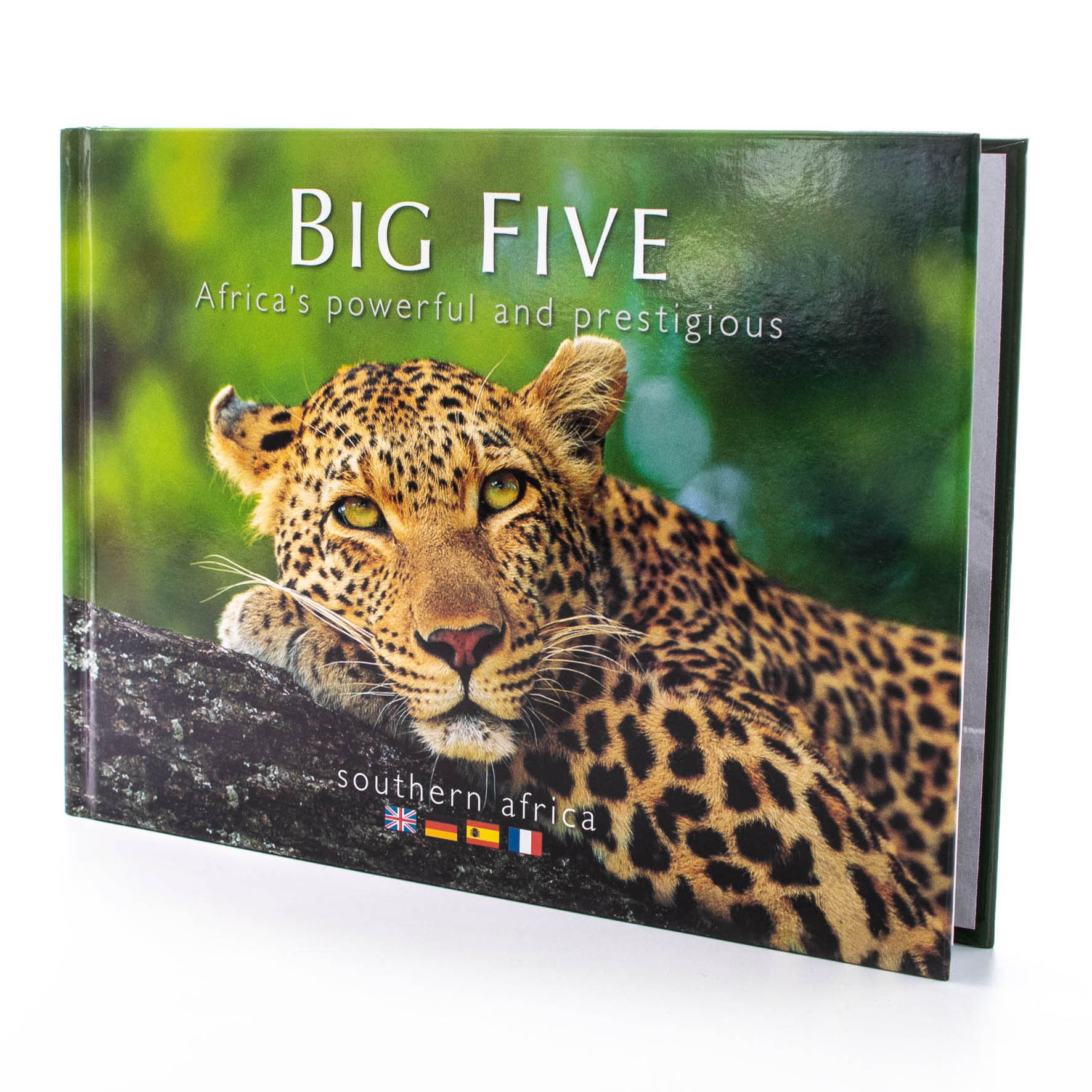 Big Five Africa's  Hard Cover Coffee Table Book