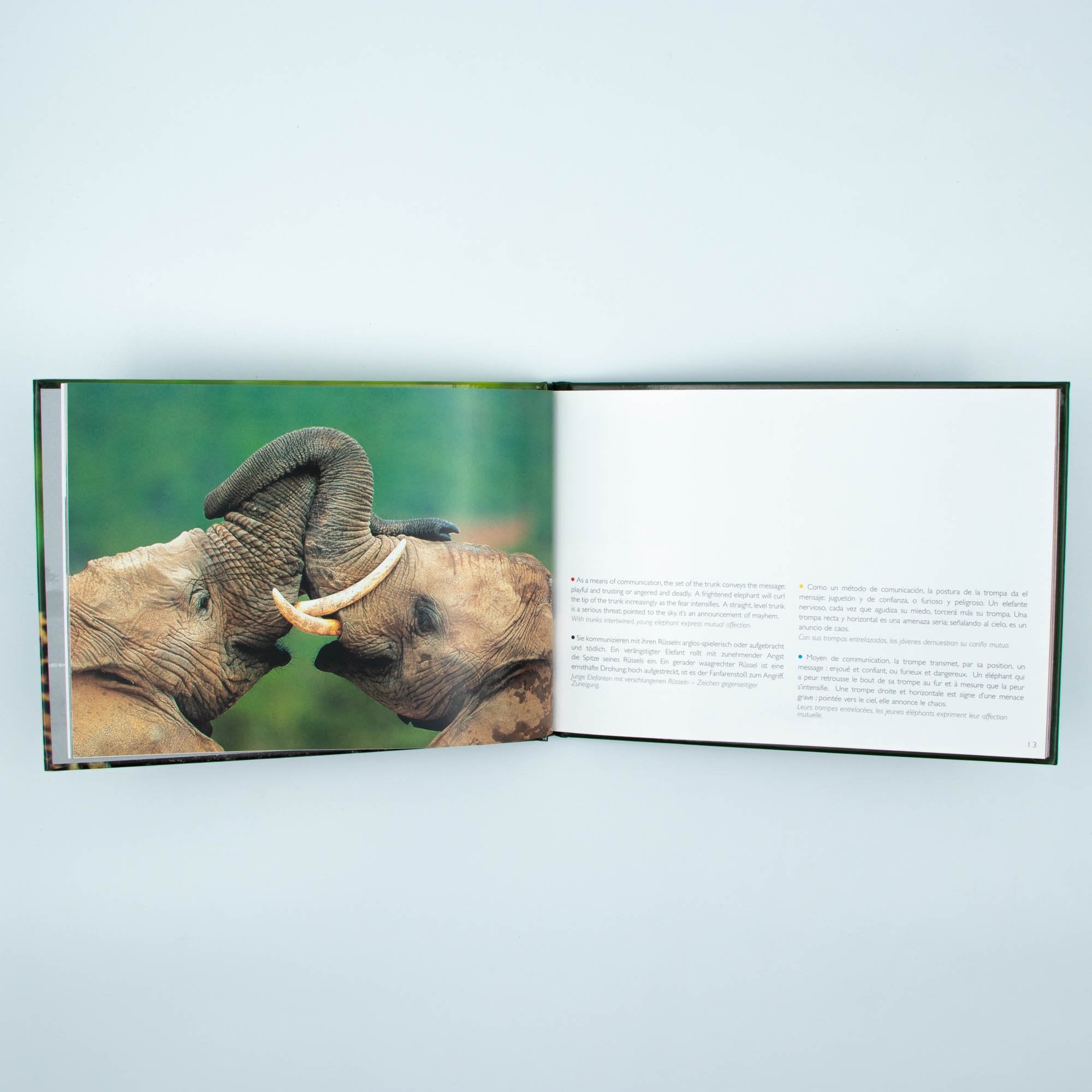 Big Five Africa's  Hard Cover Coffee Table Book