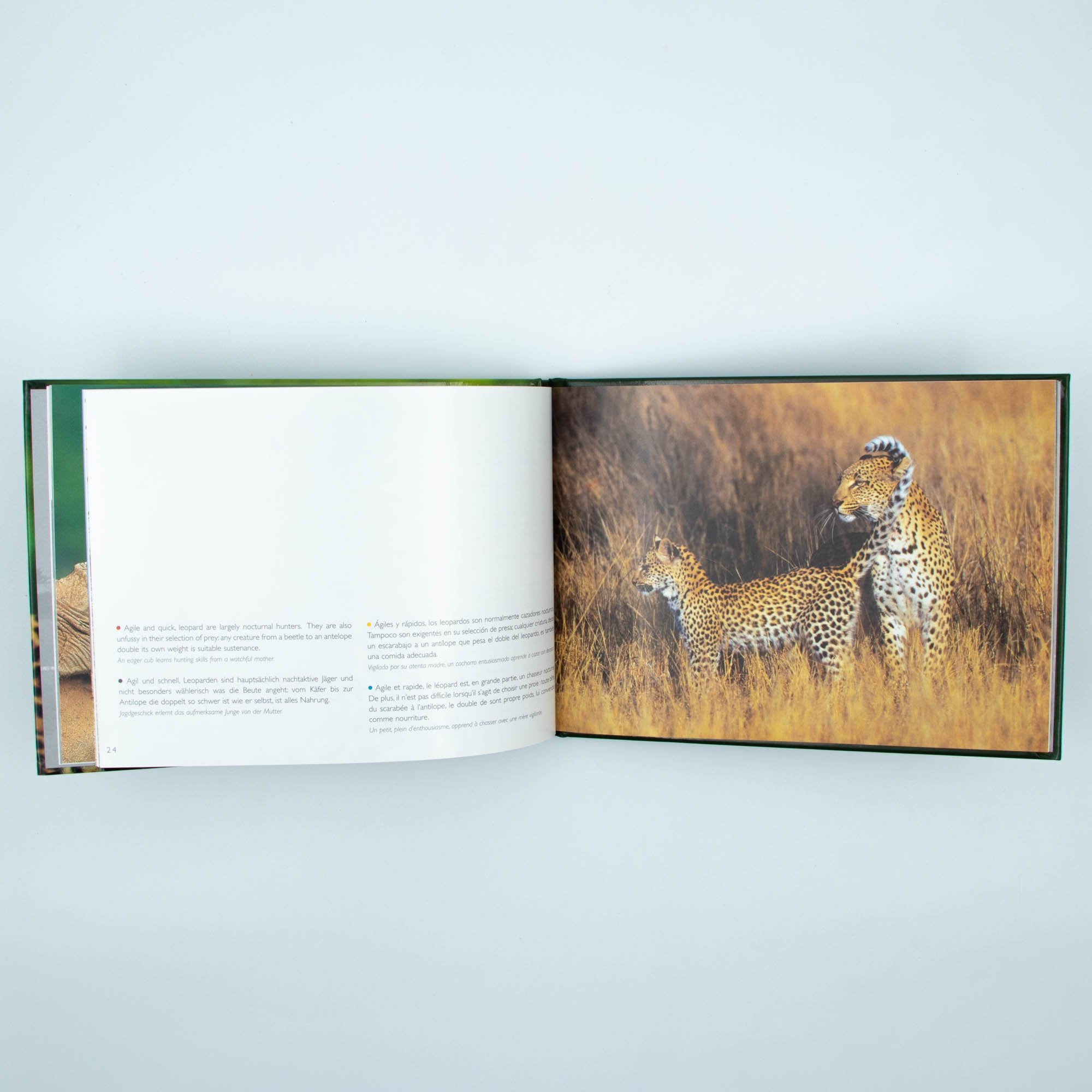 Big Five Africa's  Hard Cover Coffee Table Book