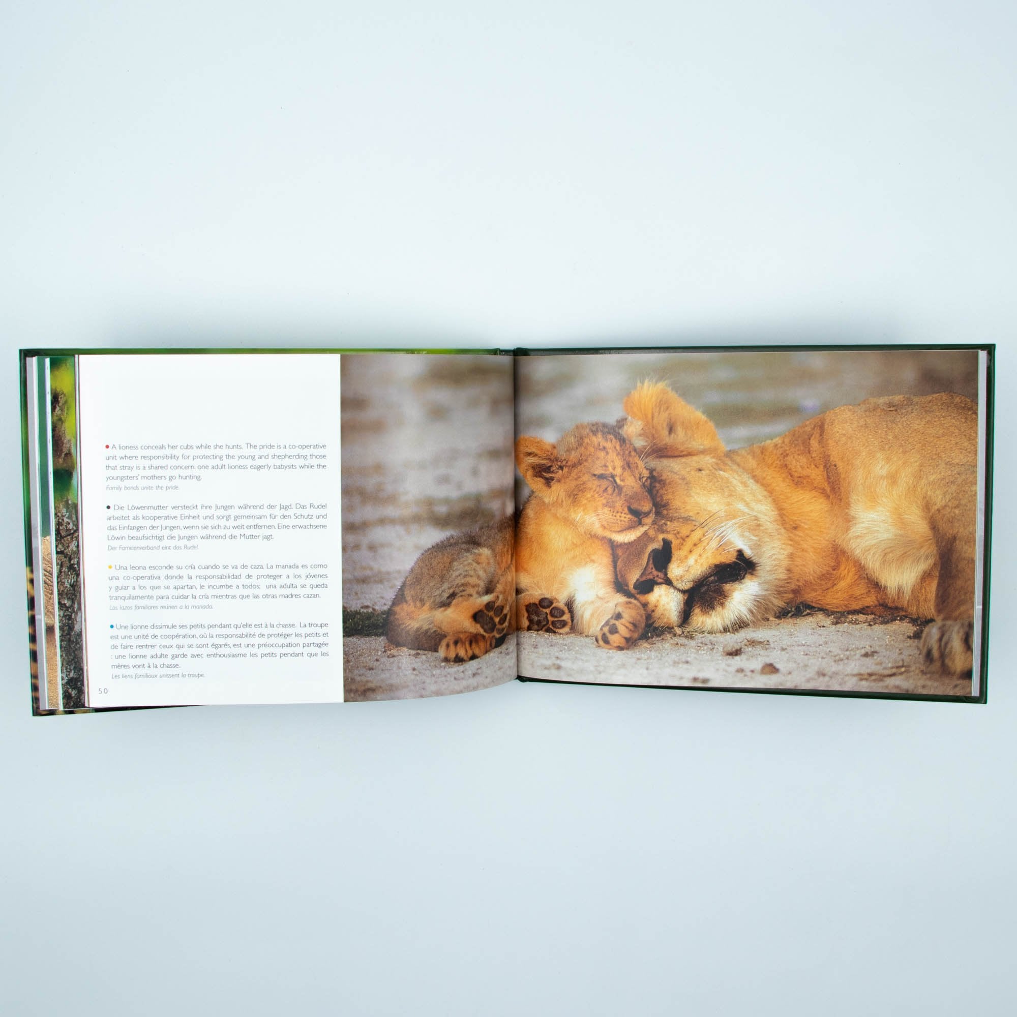 Big Five Africa's  Hard Cover Coffee Table Book