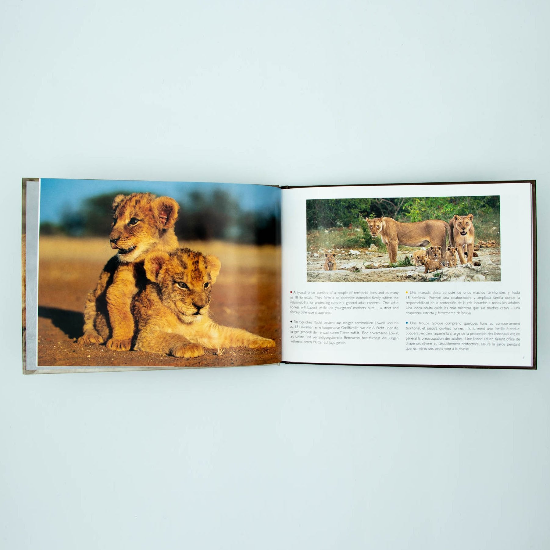 Young Wildlife Hardcover Coffee Table Book
