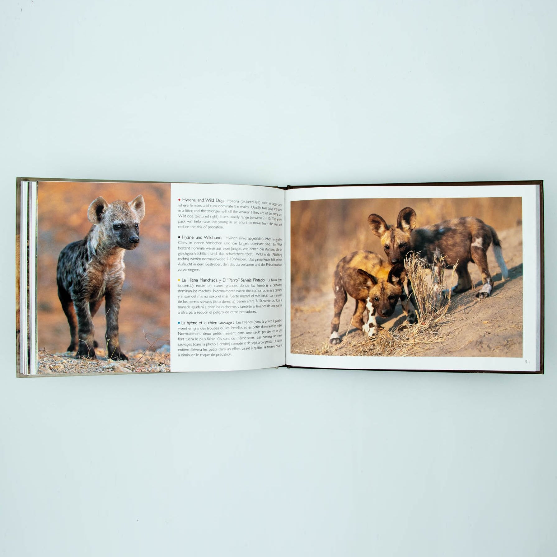 Young Wildlife Hardcover Coffee Table Book