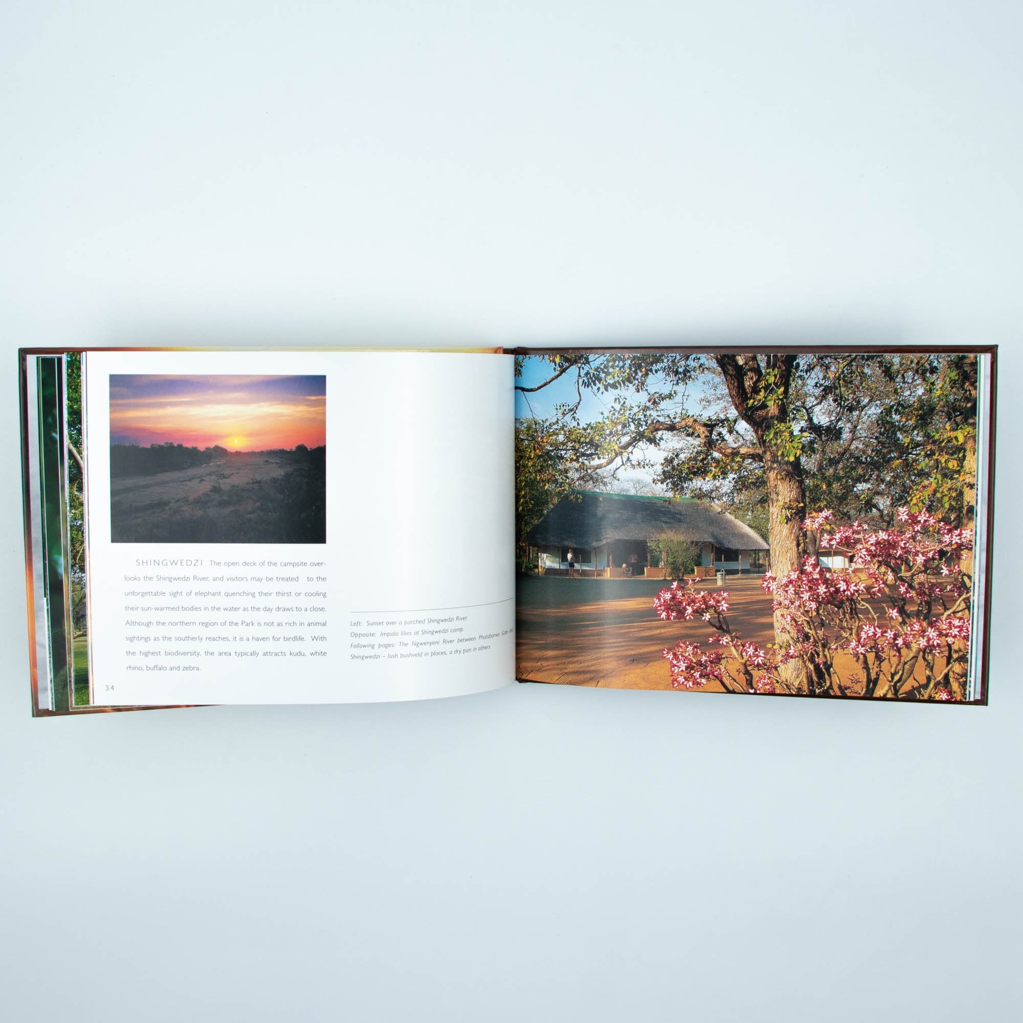 Kruger National Park Hard Cover Coffee Table Book
