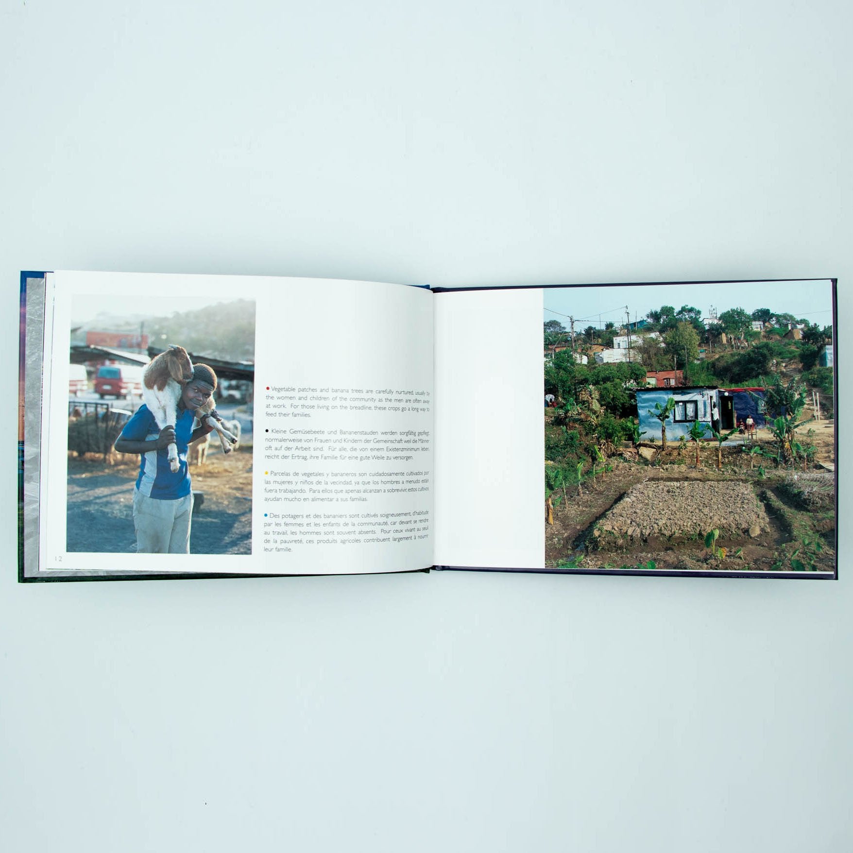 Shacks Shelters Hardcover Coffee Table Book