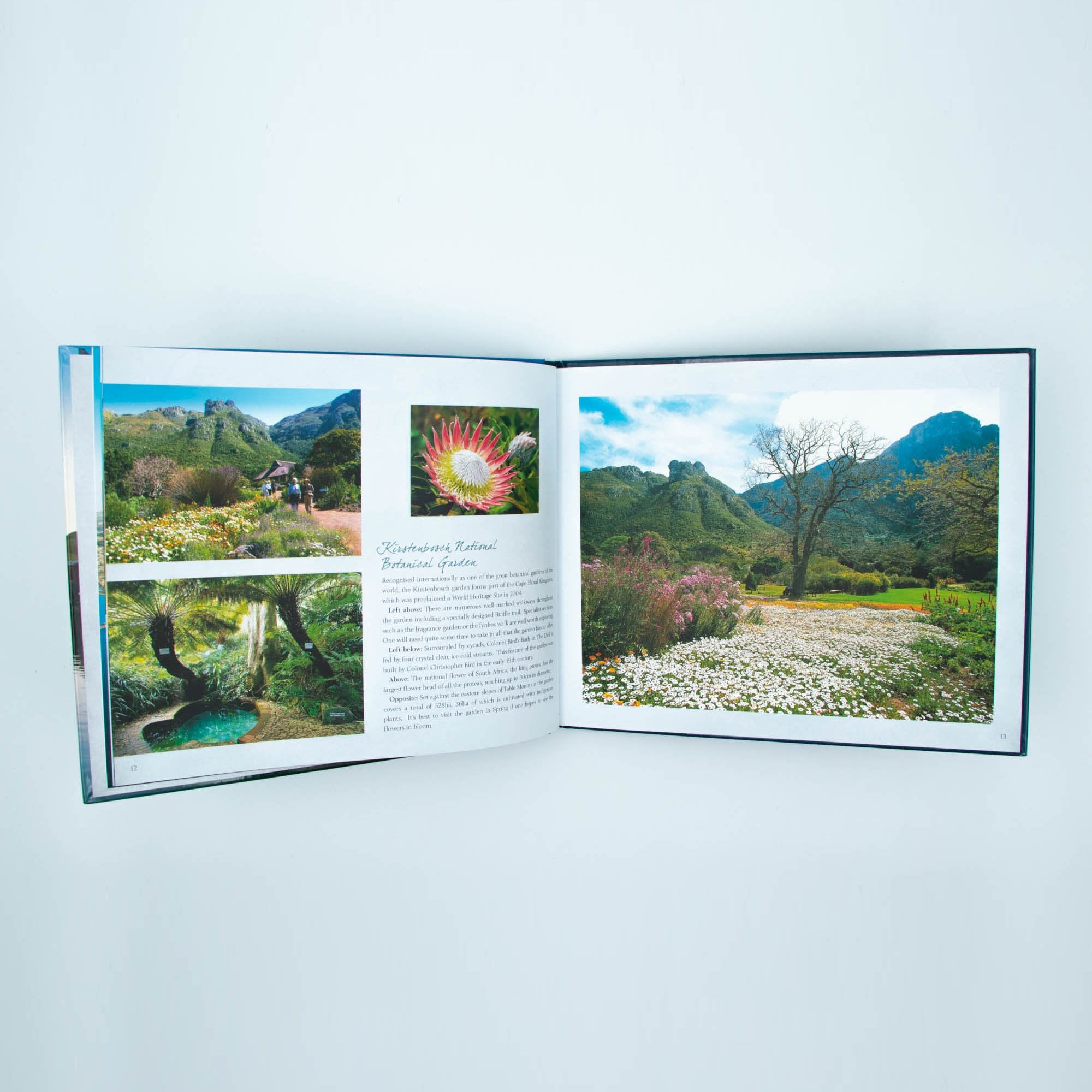 Cape Town Hard Cover Coffee Table Book