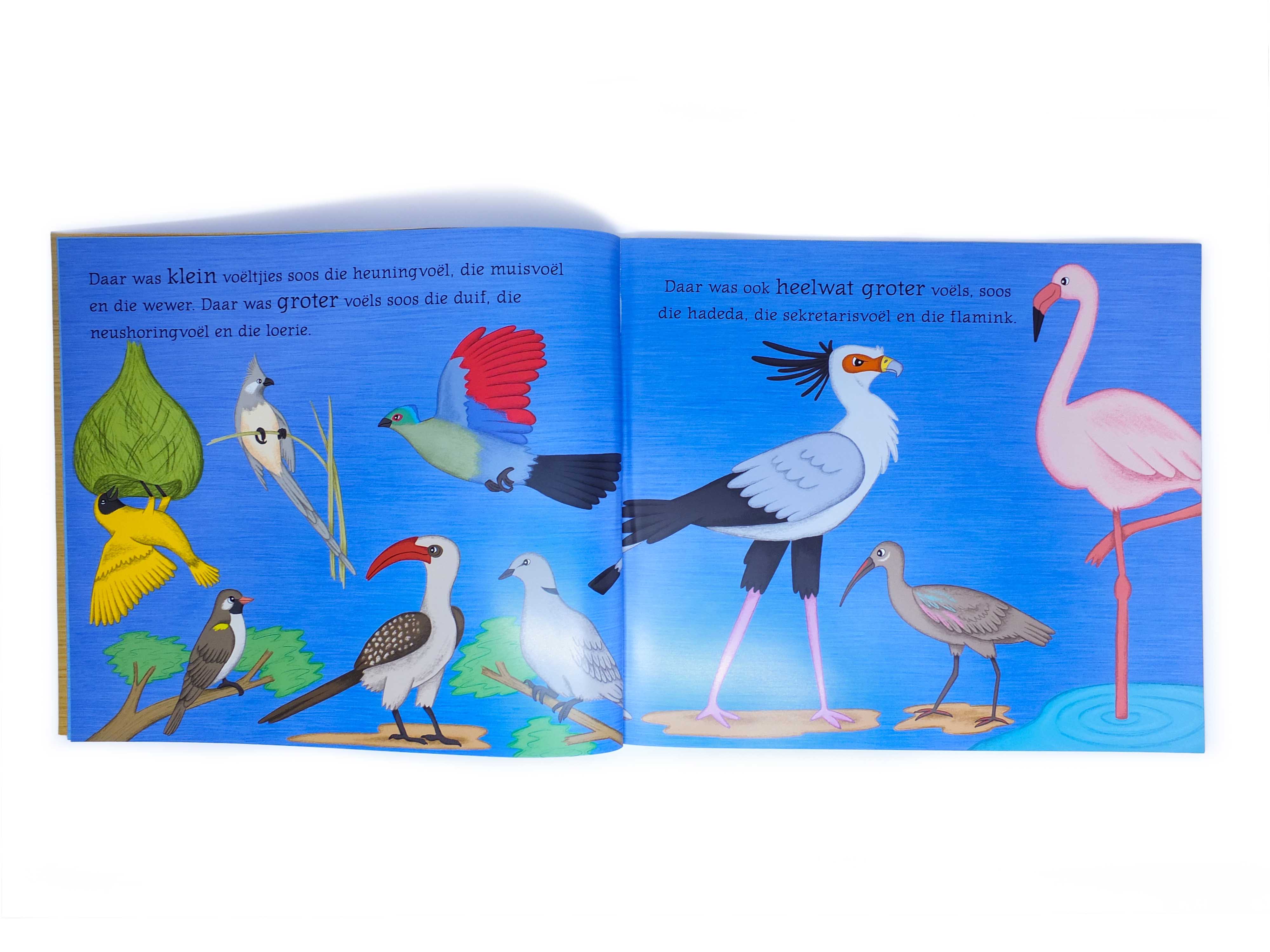 African Folklore Stories Waarom Volstruis nie vlieg nie Afriaans Story Book