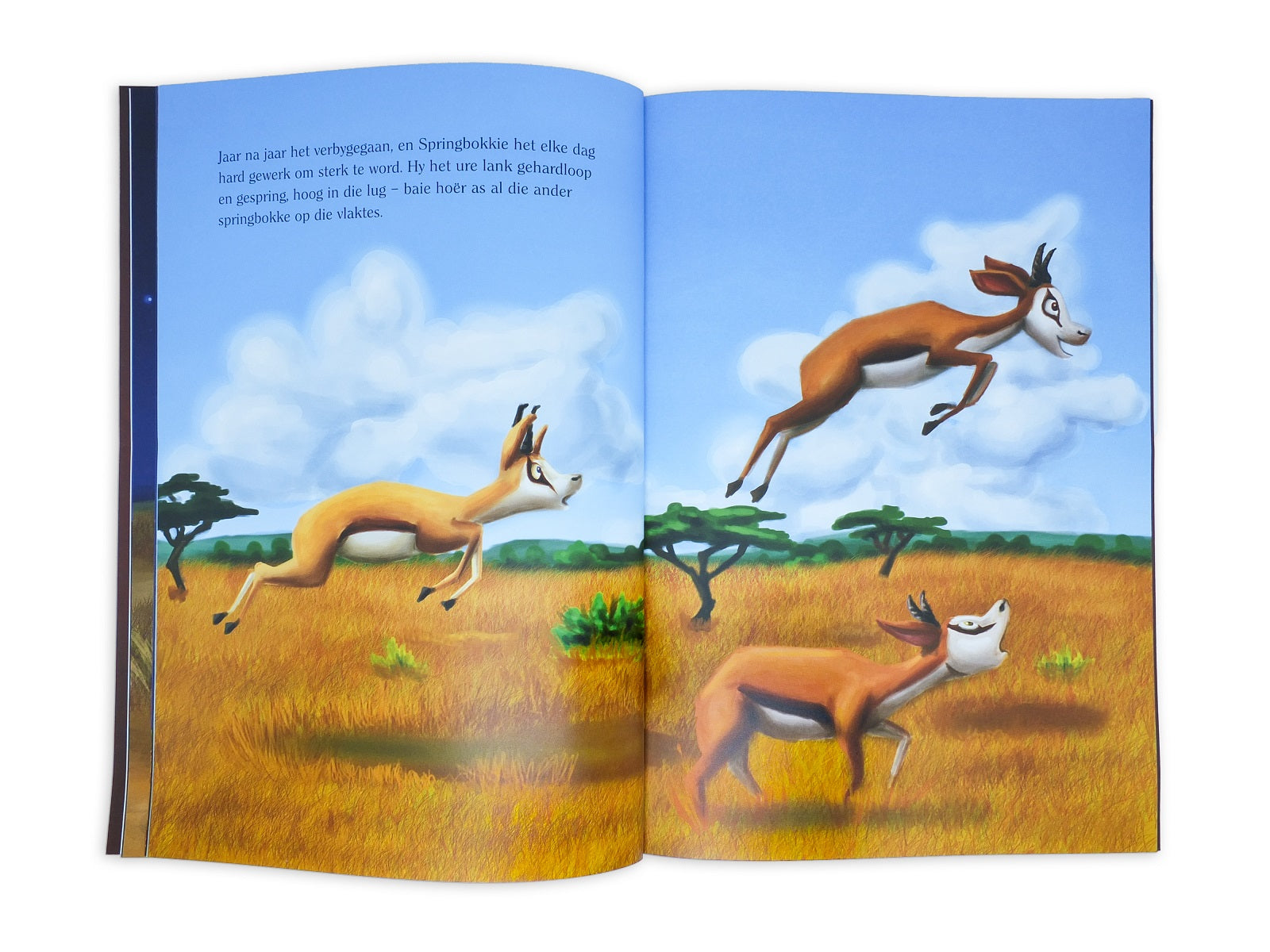 Die Springbok en die Takbokke Afrikaans Story Book
