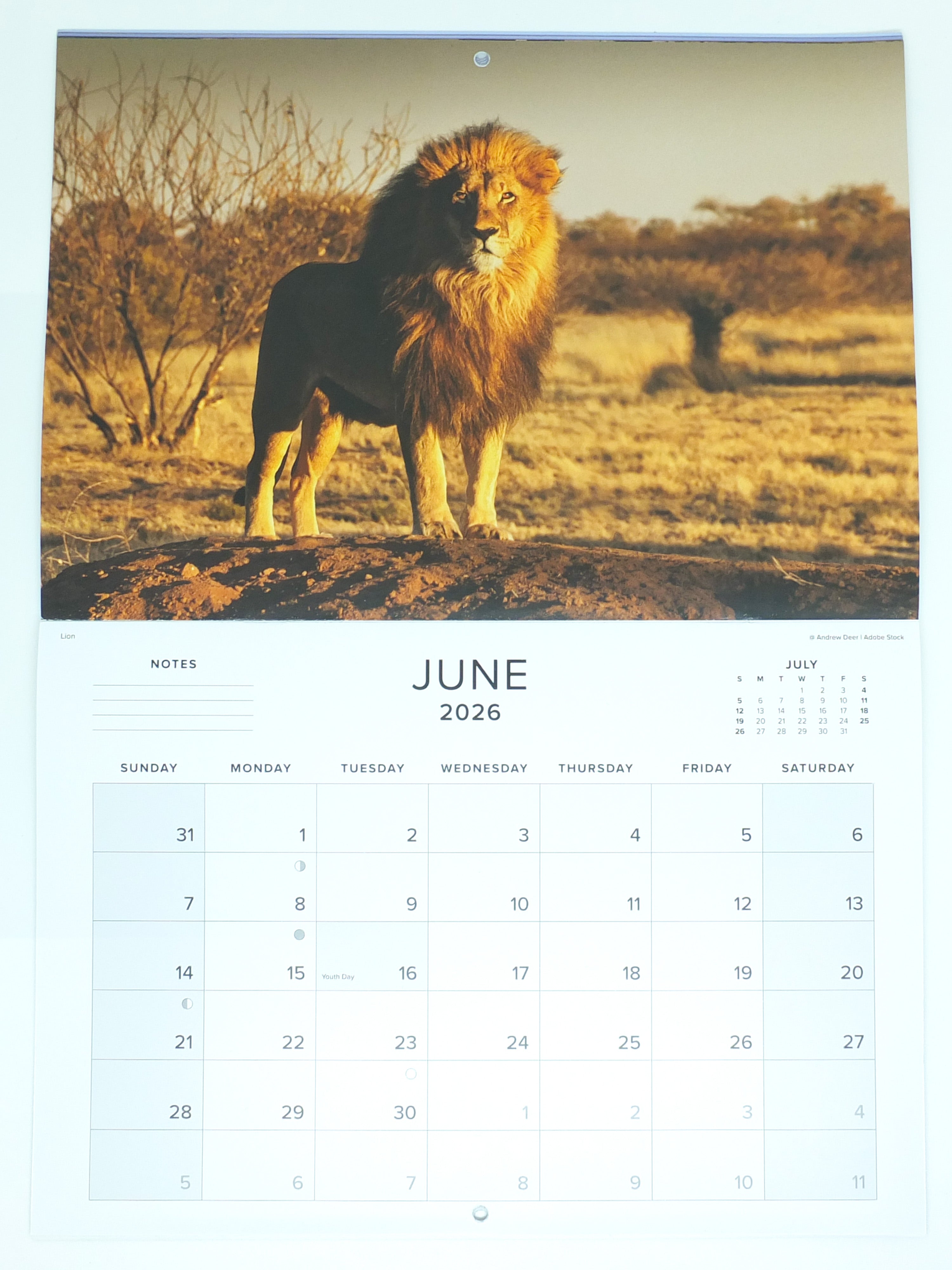 2026 Southern African Wildlife Calendar - Medium