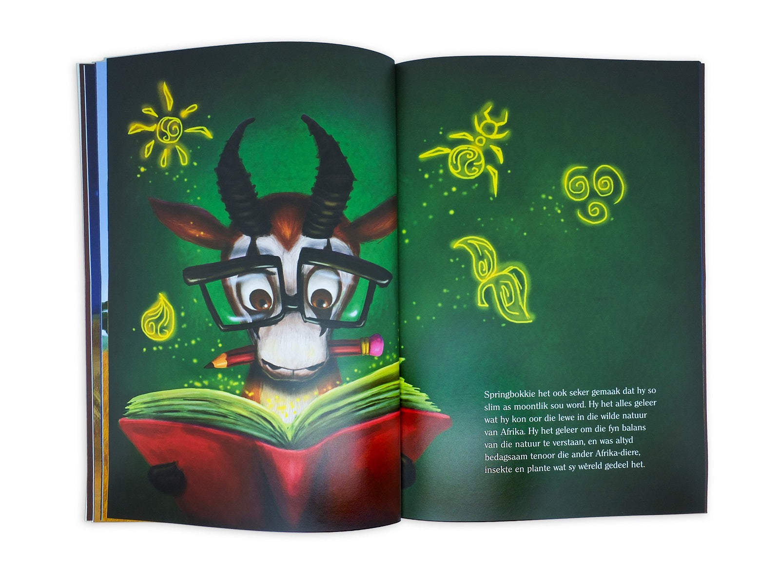 Die Springbok en die Takbokke Afrikaans Story Book