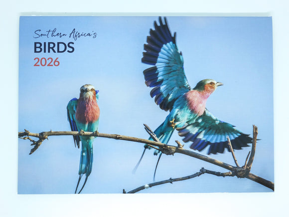 2026 Southern African Birds Calendar - Medium