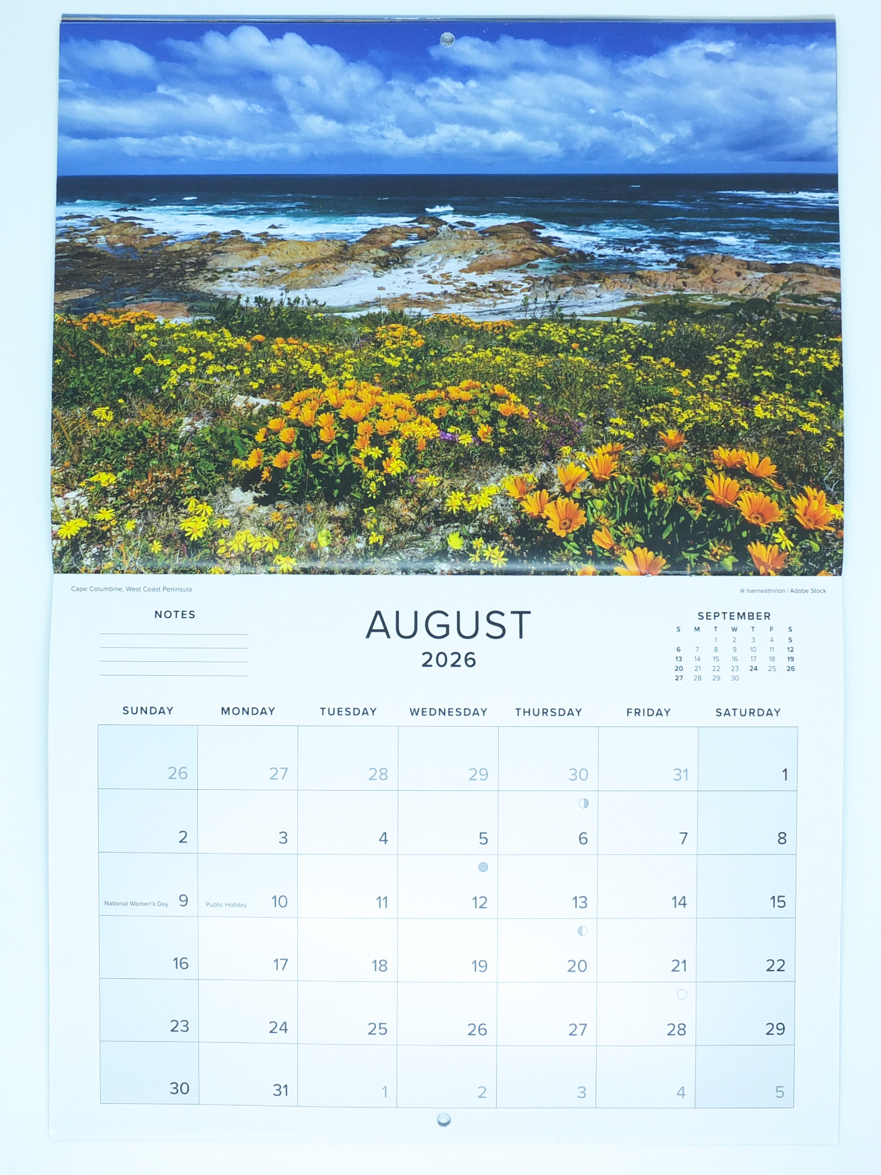 2026 Scenic Splendour of South Africa Calendar - Medium