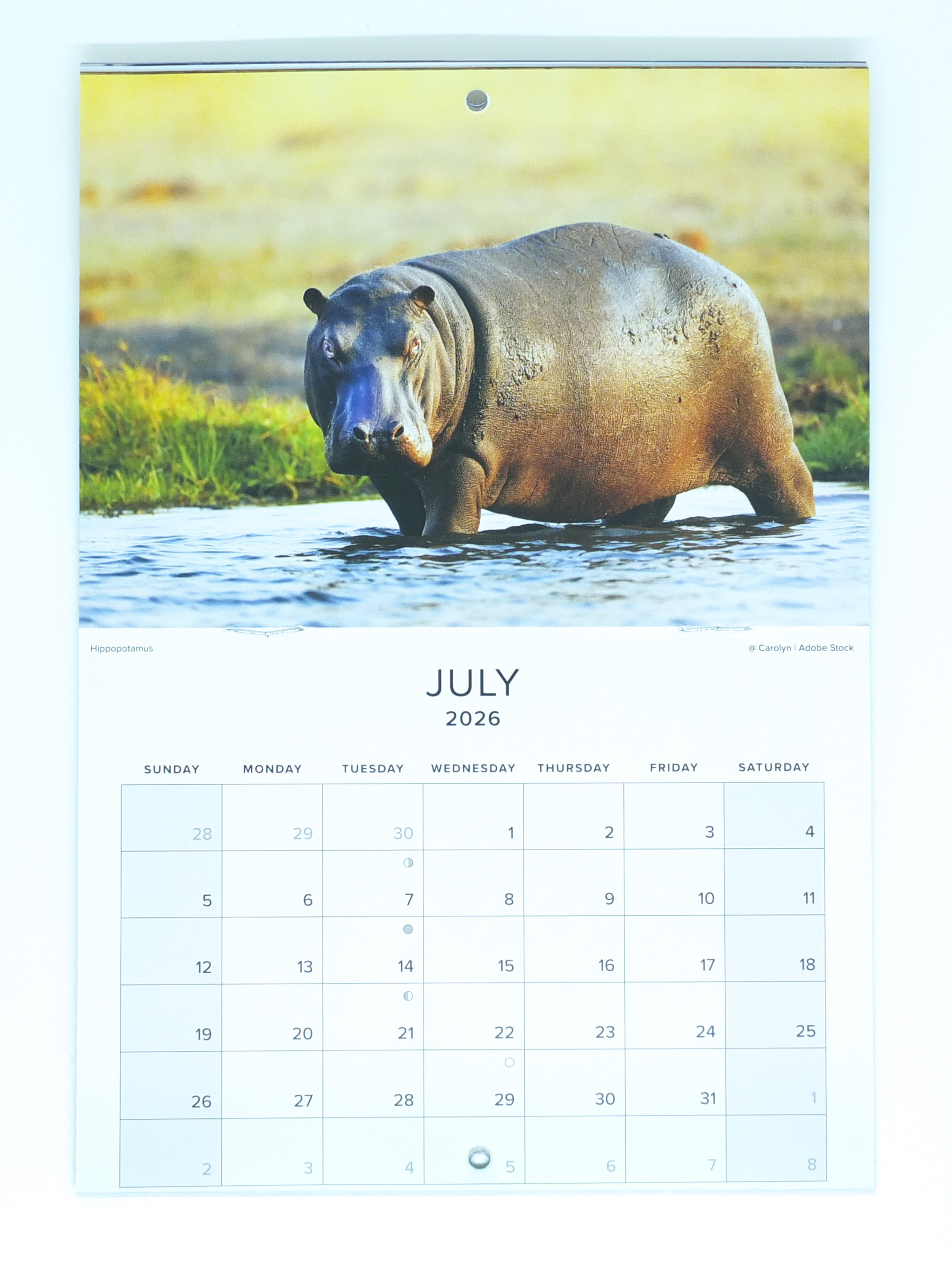 2026 South African Wildlife Calendar - Small