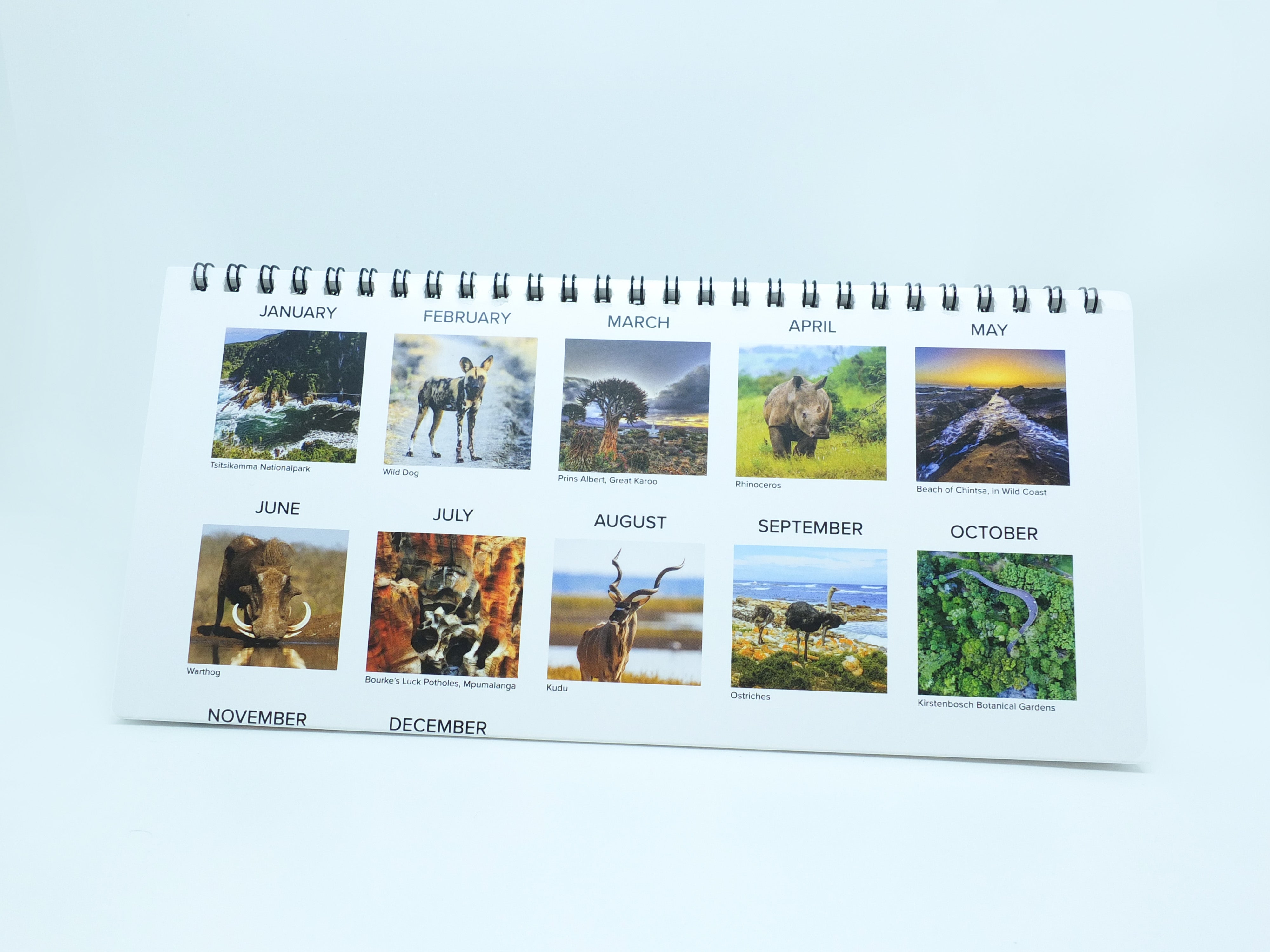 2026 South African Landscapes and Wildlife Desktop Tent Calendar
