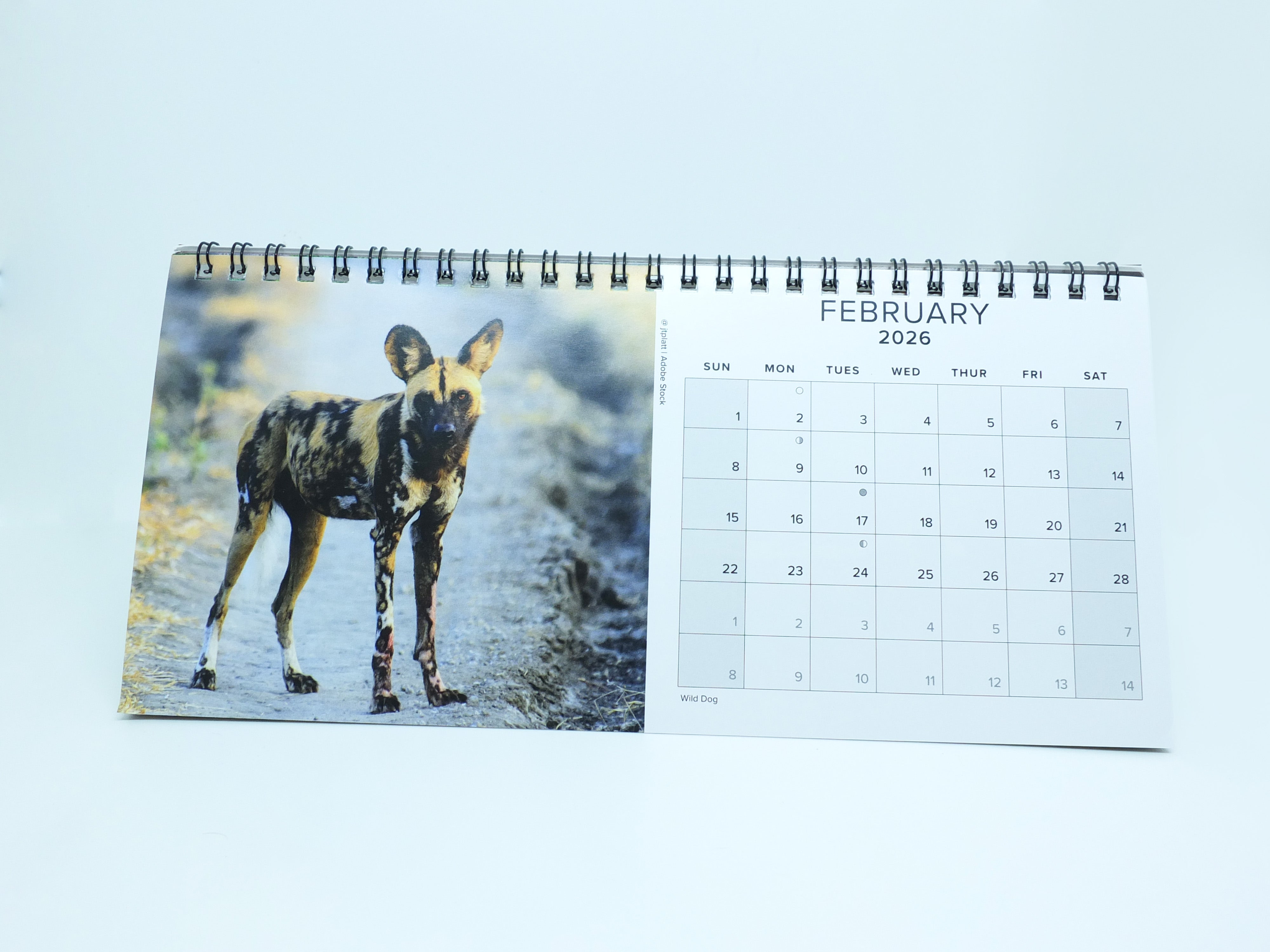 2026 South African Landscapes and Wildlife Desktop Tent Calendar