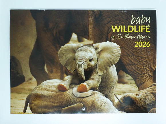 2026 Baby Wildlife of Southern Africa Calendar - Large