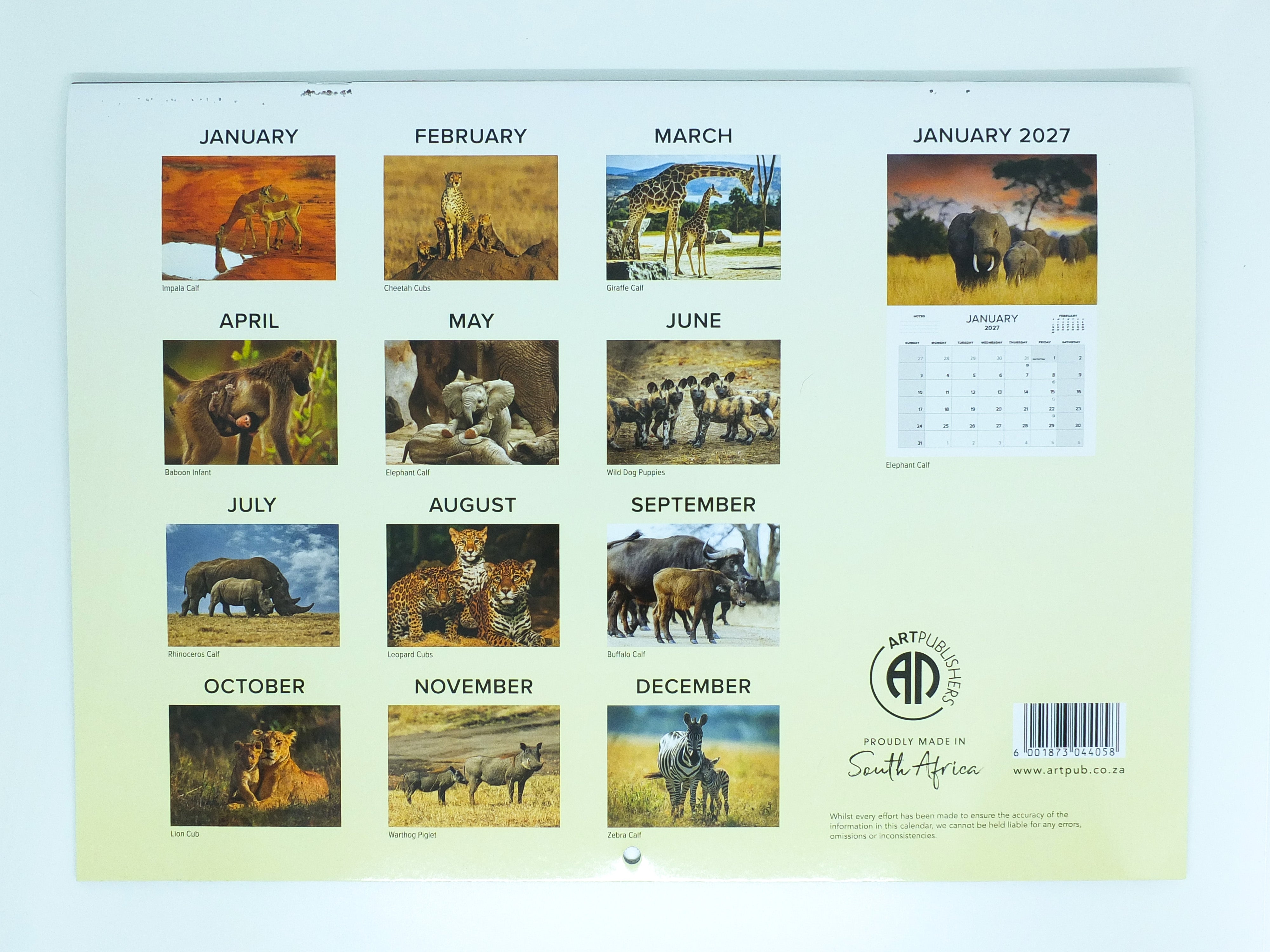 2026 Baby Wildlife of Southern Africa Calendar - Large