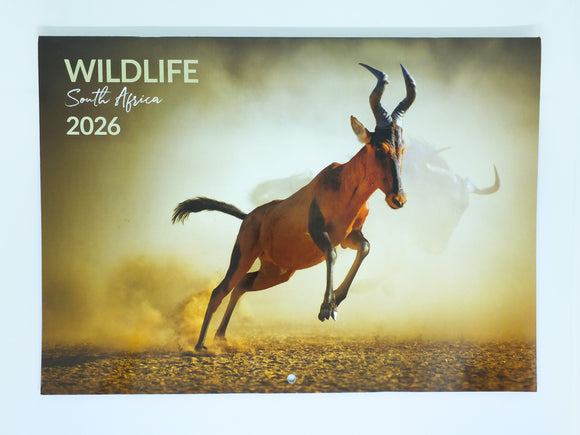 2026 Wildlife of Southern Africa Calendar - Large