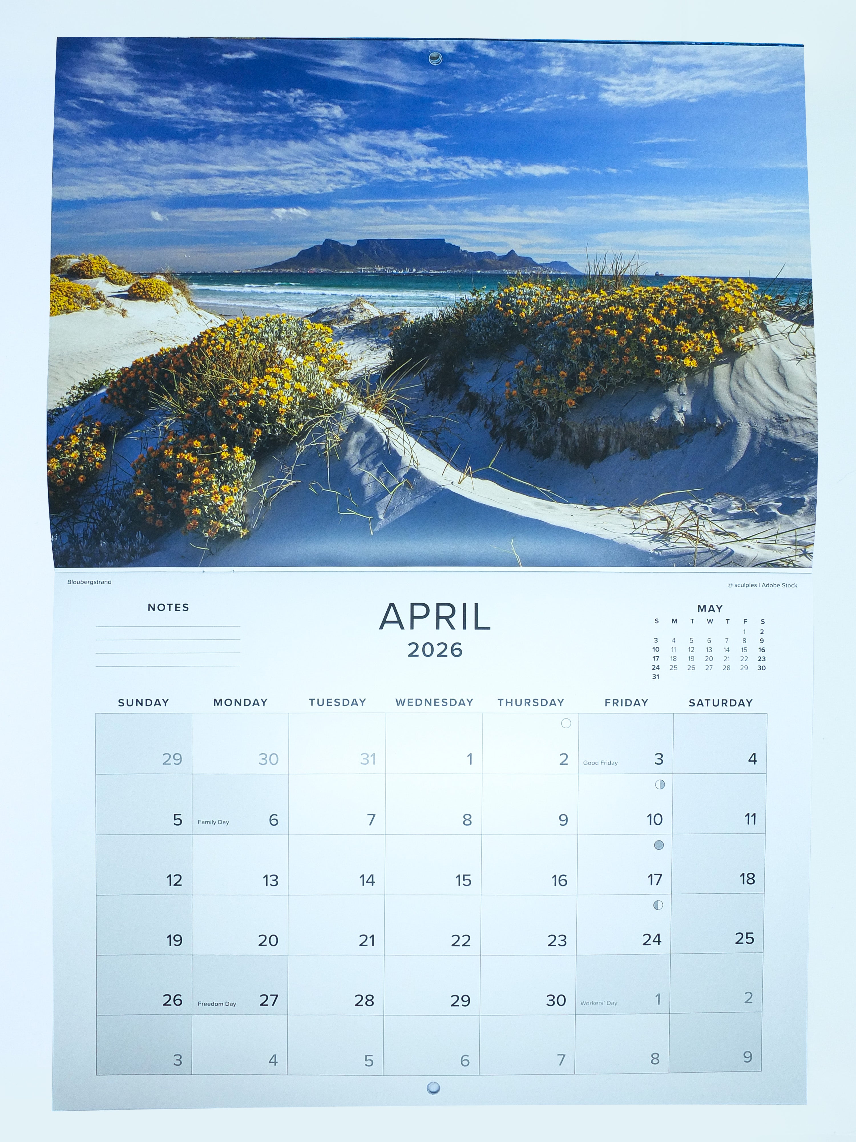 2026 Cape Town - The Mother City Calendar - Large