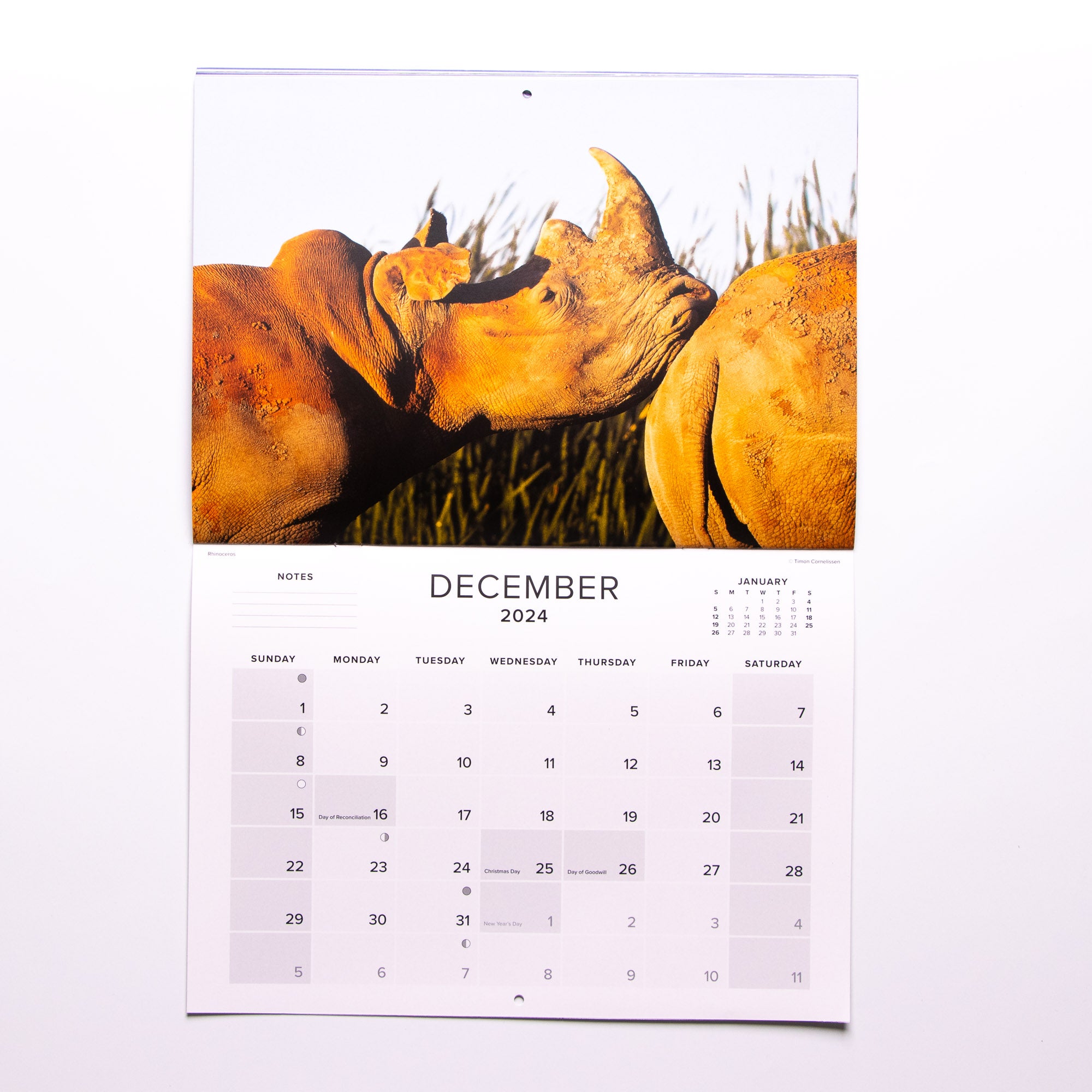 2024 The Big Five of South Africa Calendar - Large
