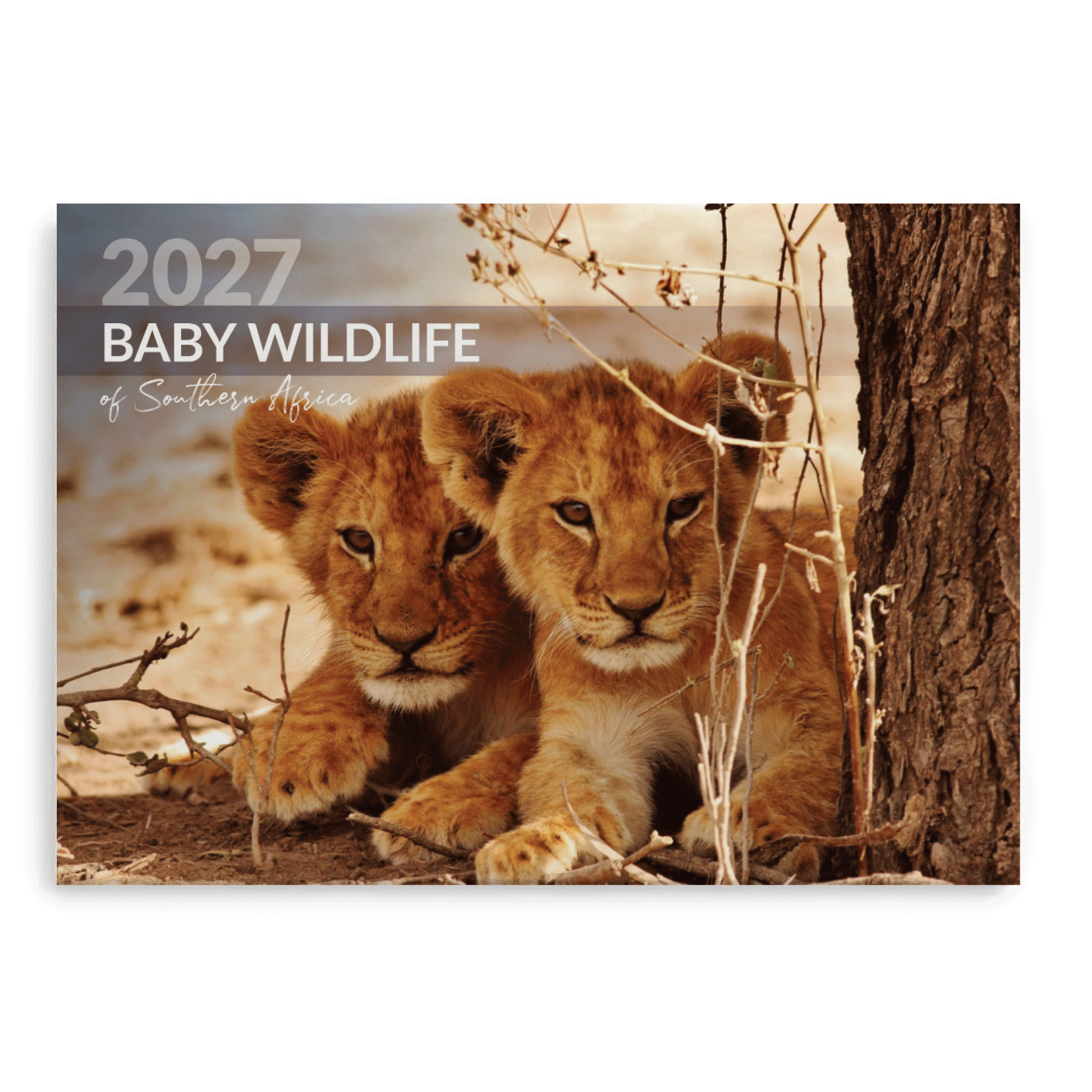 2027 Large Annual Calendar - Baby Wildlife