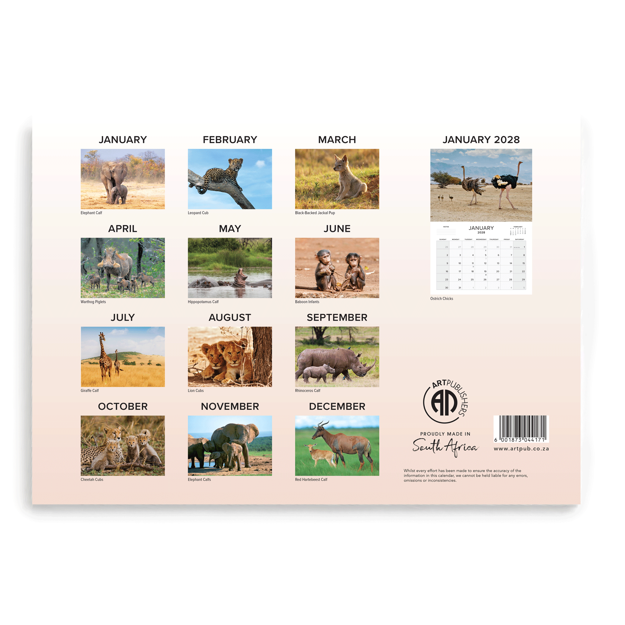 2027 Large Annual Calendar - Baby Wildlife