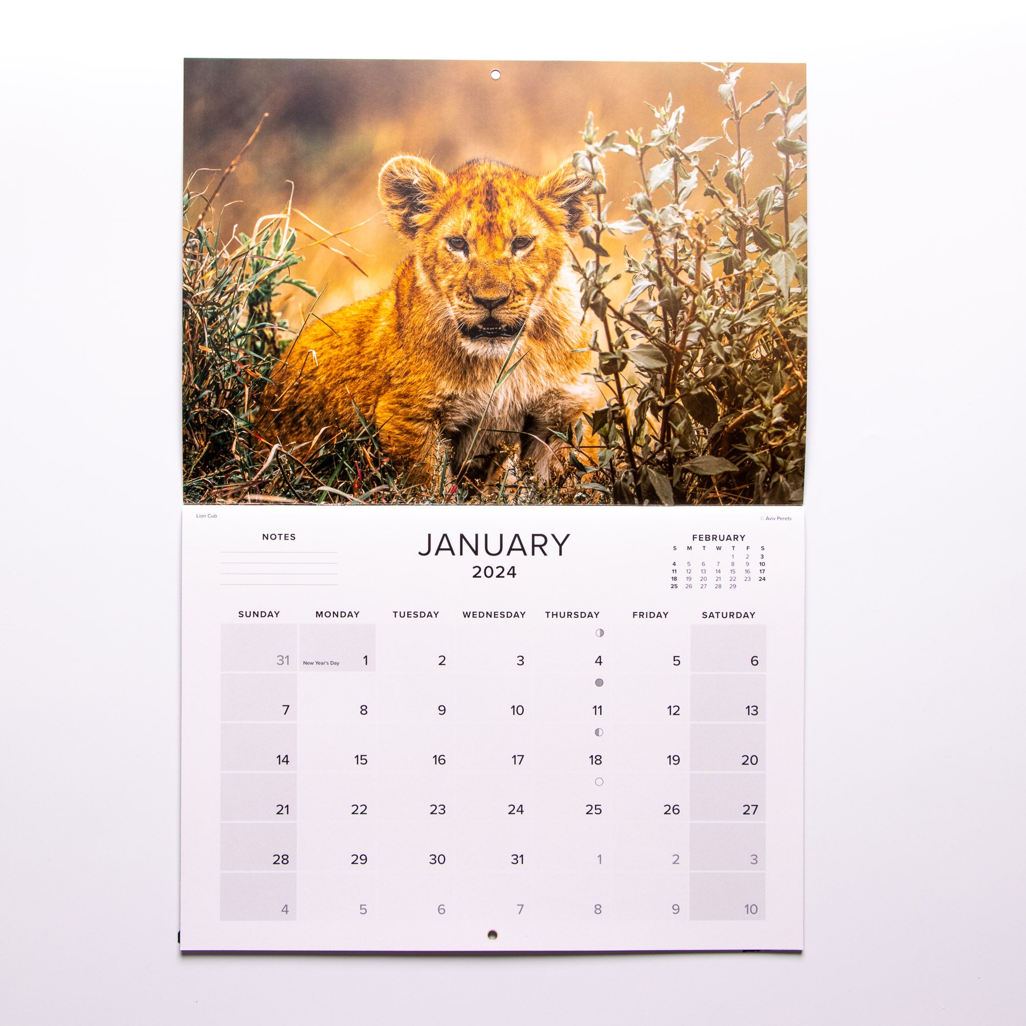 2024 Baby Wildlife of Africa Calendar - Large