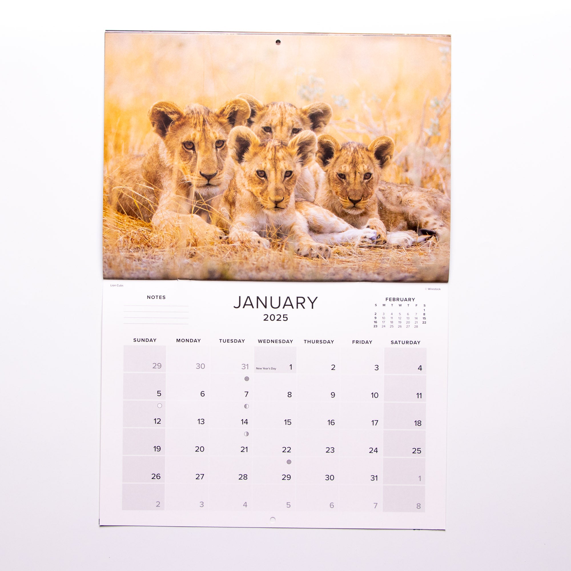 2024 Baby Wildlife of Africa Calendar - Large