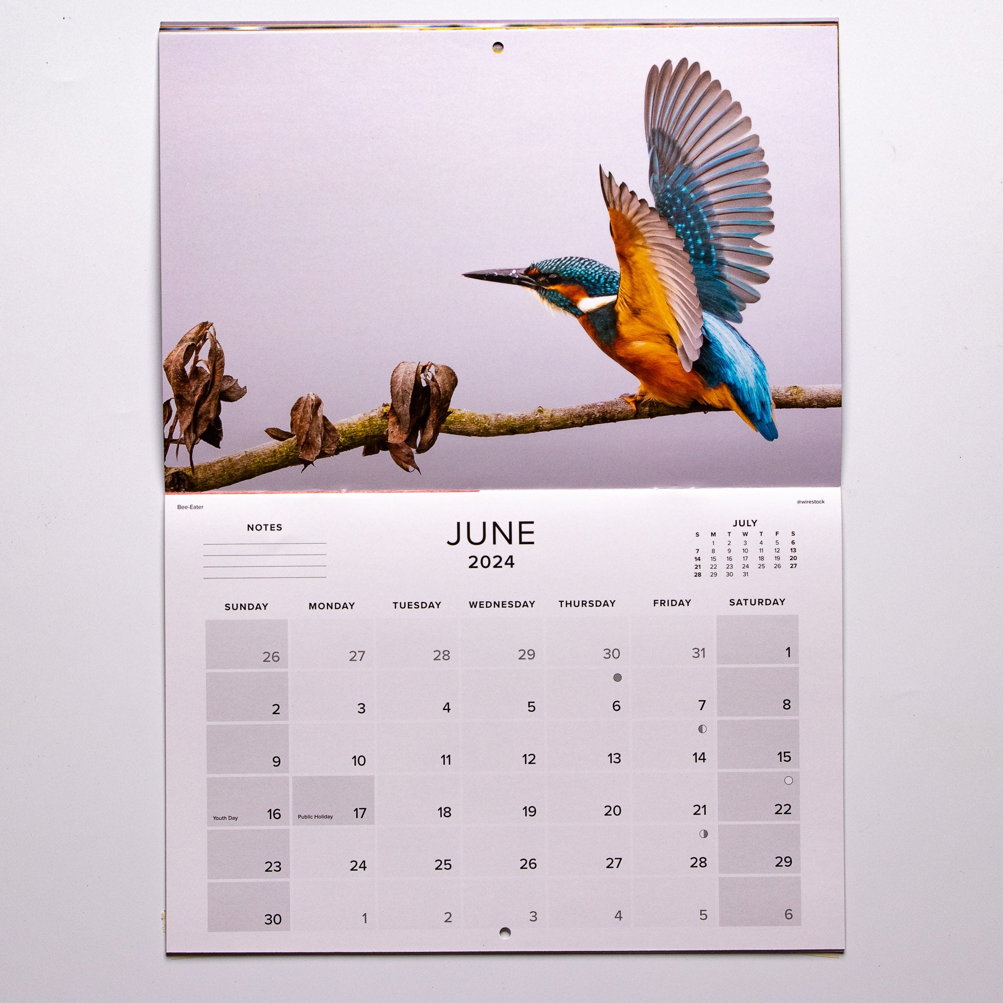 2024 Birds of South Africa Calendar - Medium