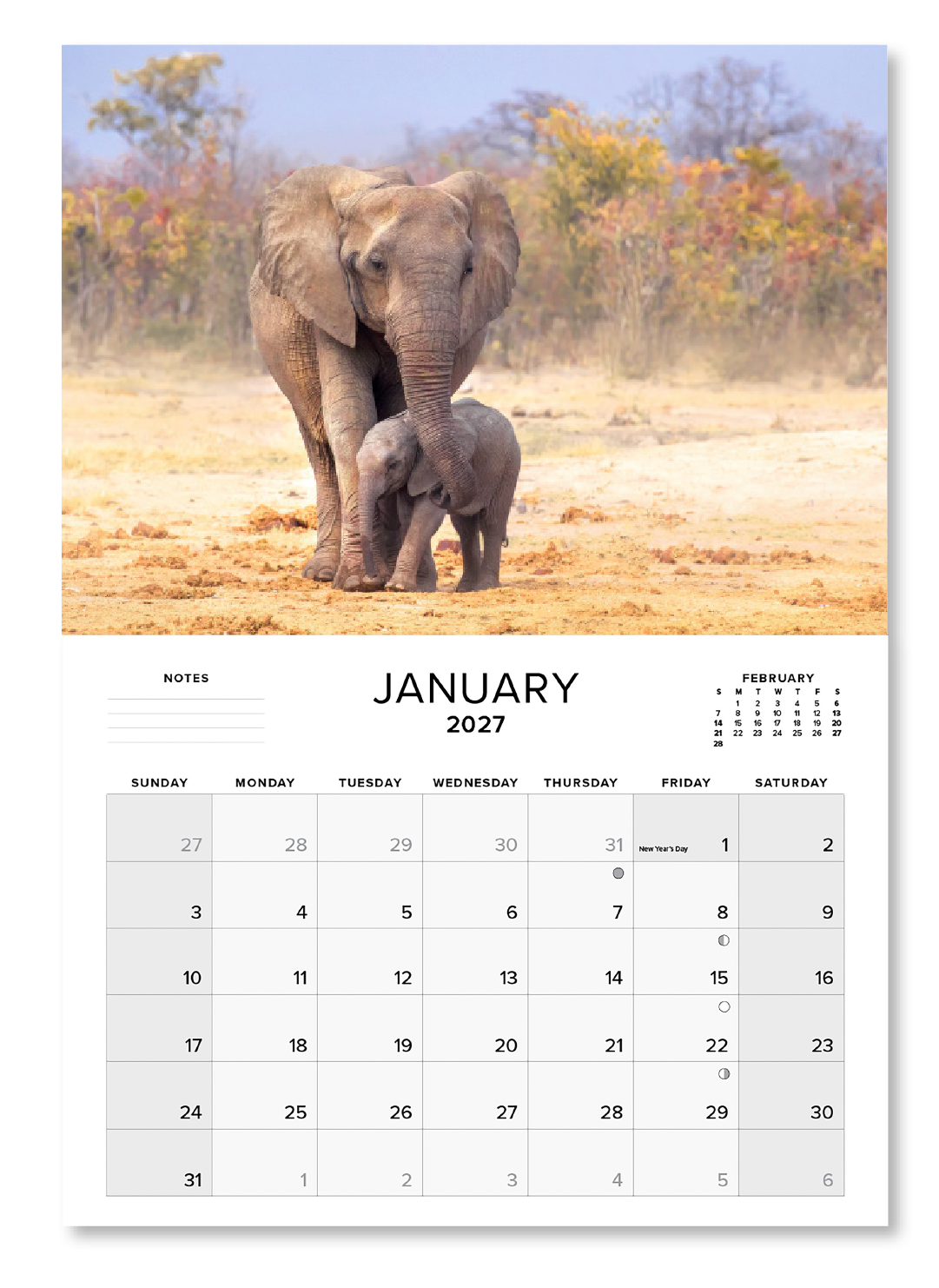 2027 Large Annual Calendar - Baby Wildlife
