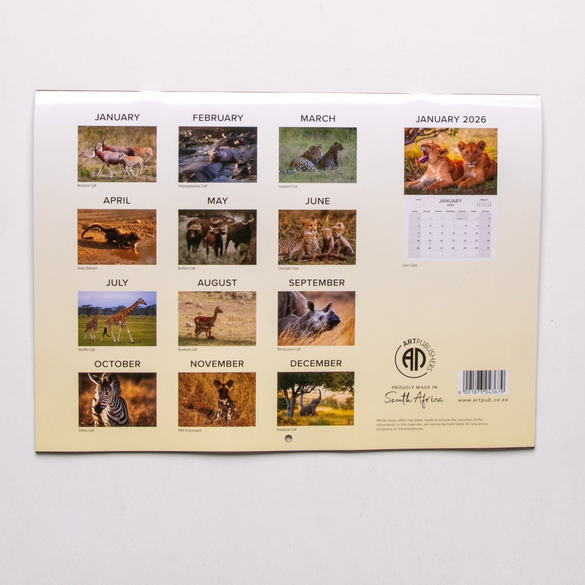 2025 Baby Wildlife of Southern Africa Calendar - Large