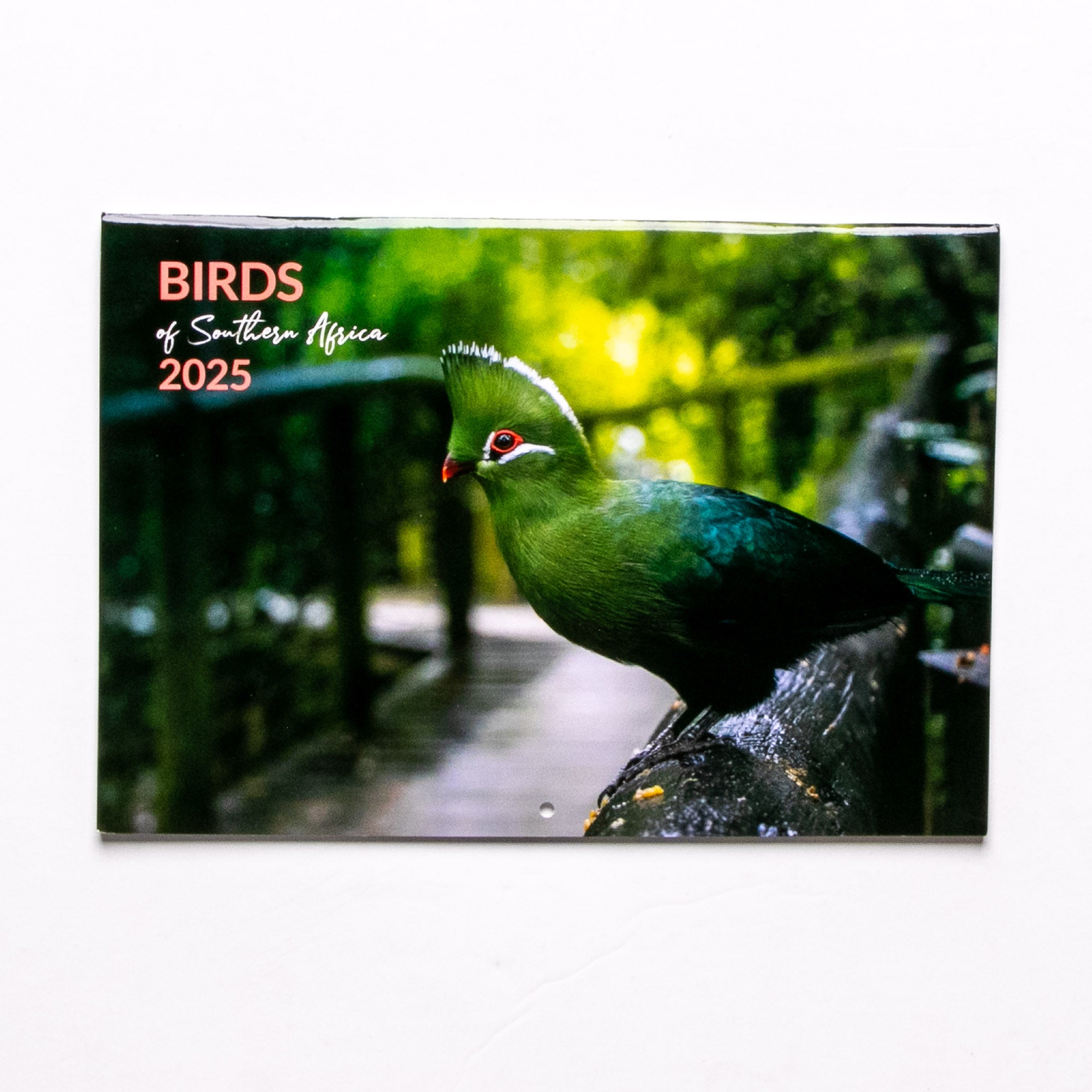 2025 Birds of Southern Africa Calendar - Medium