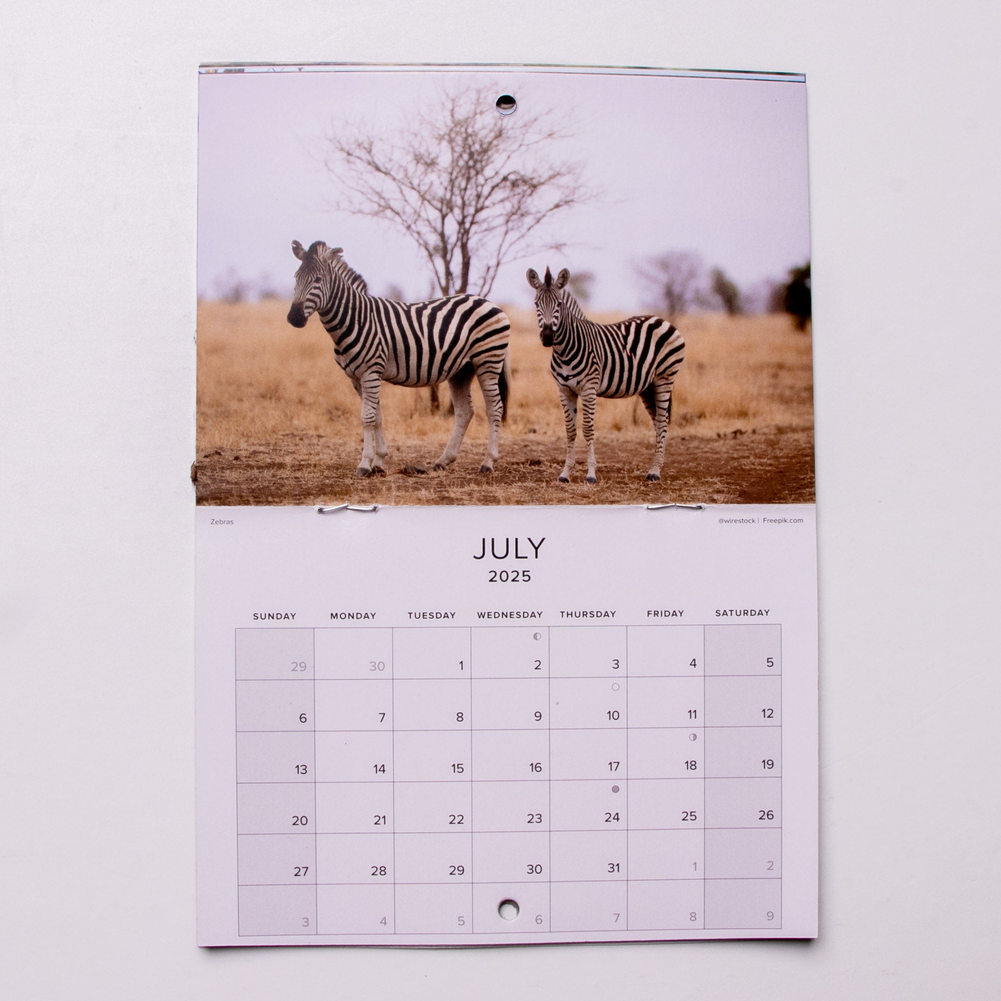 2025 South Africa's Wildlife Calendar - Small