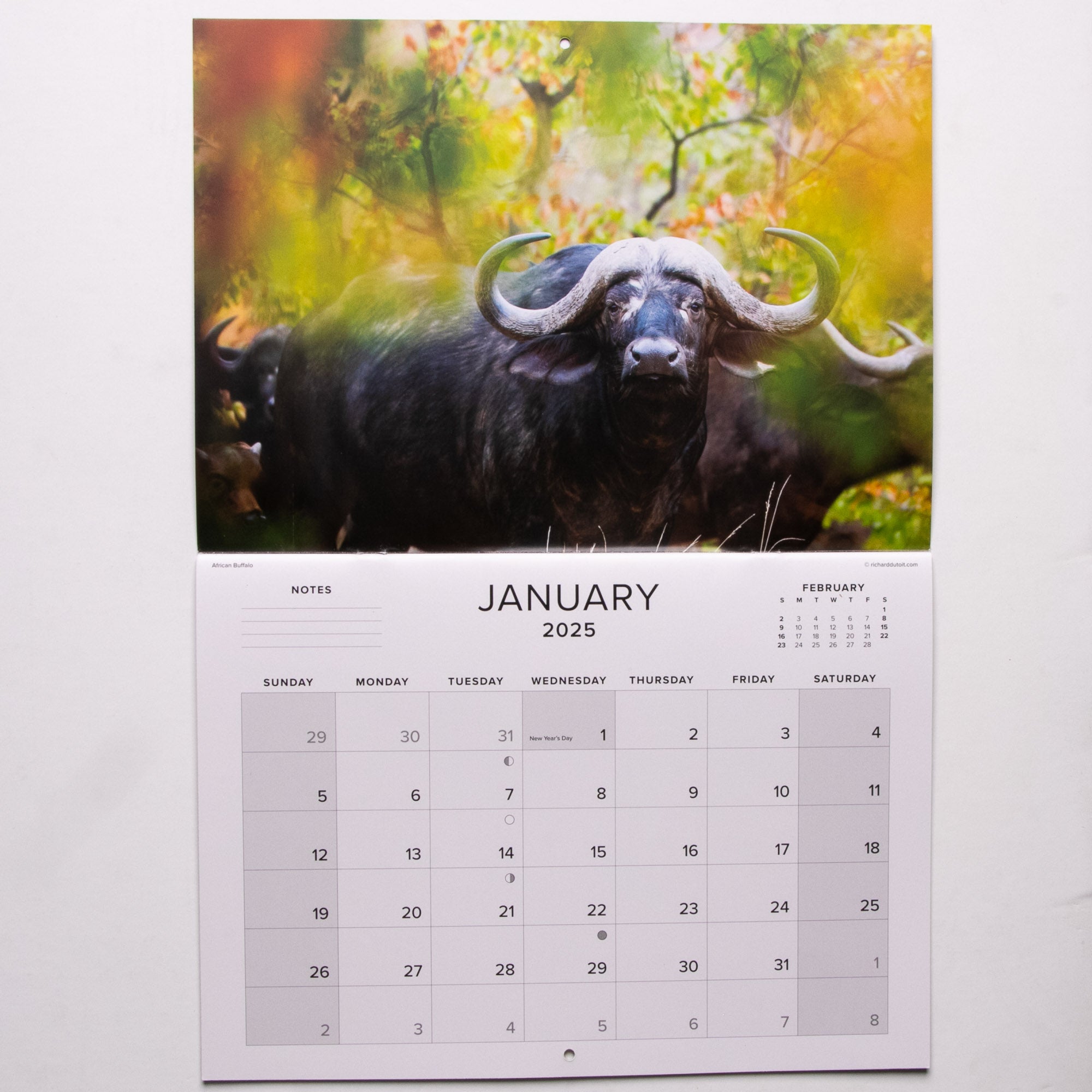 2025 The Big Five of Southern Africa Calendar - Large