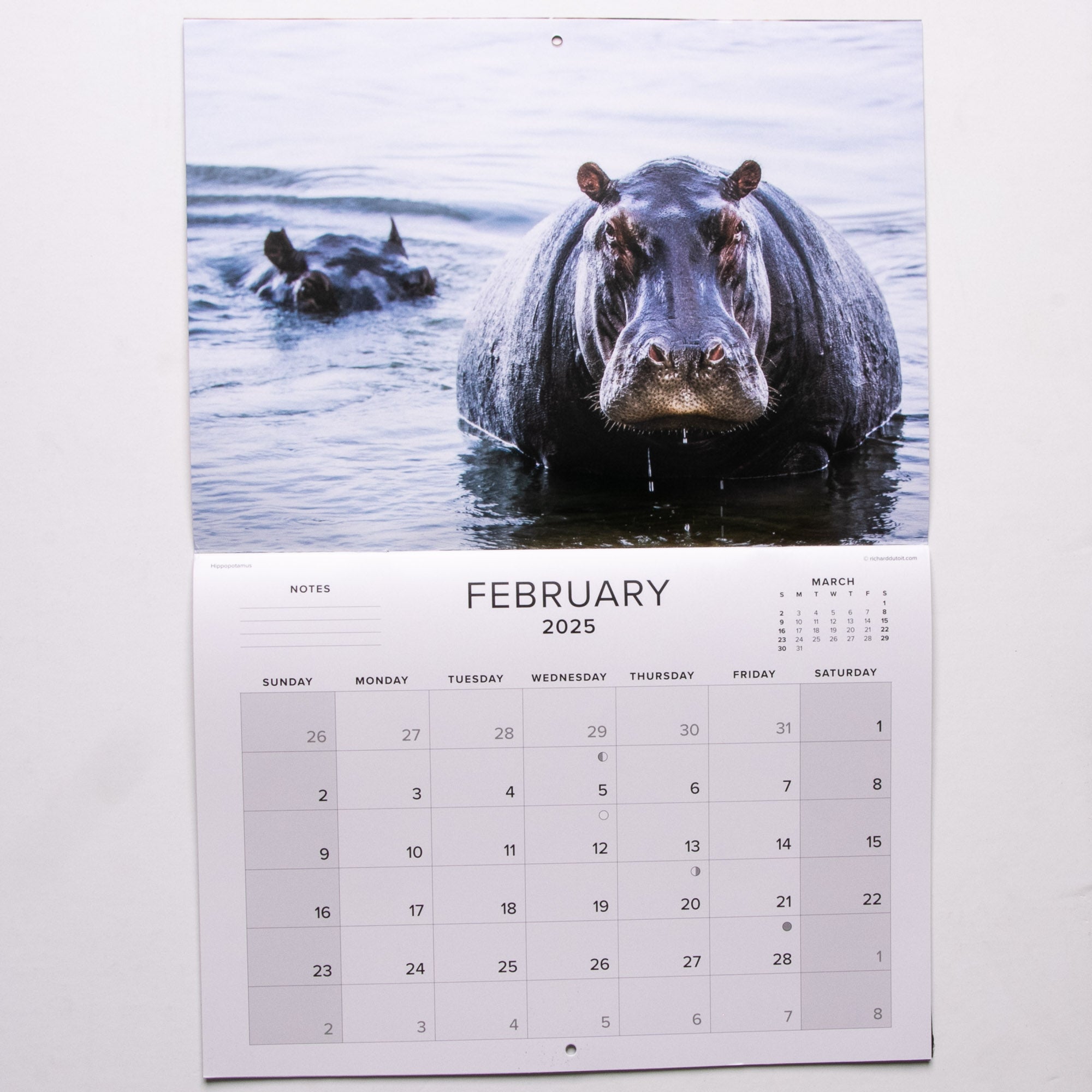 2025 Wildlife South Africa Calendar - Large