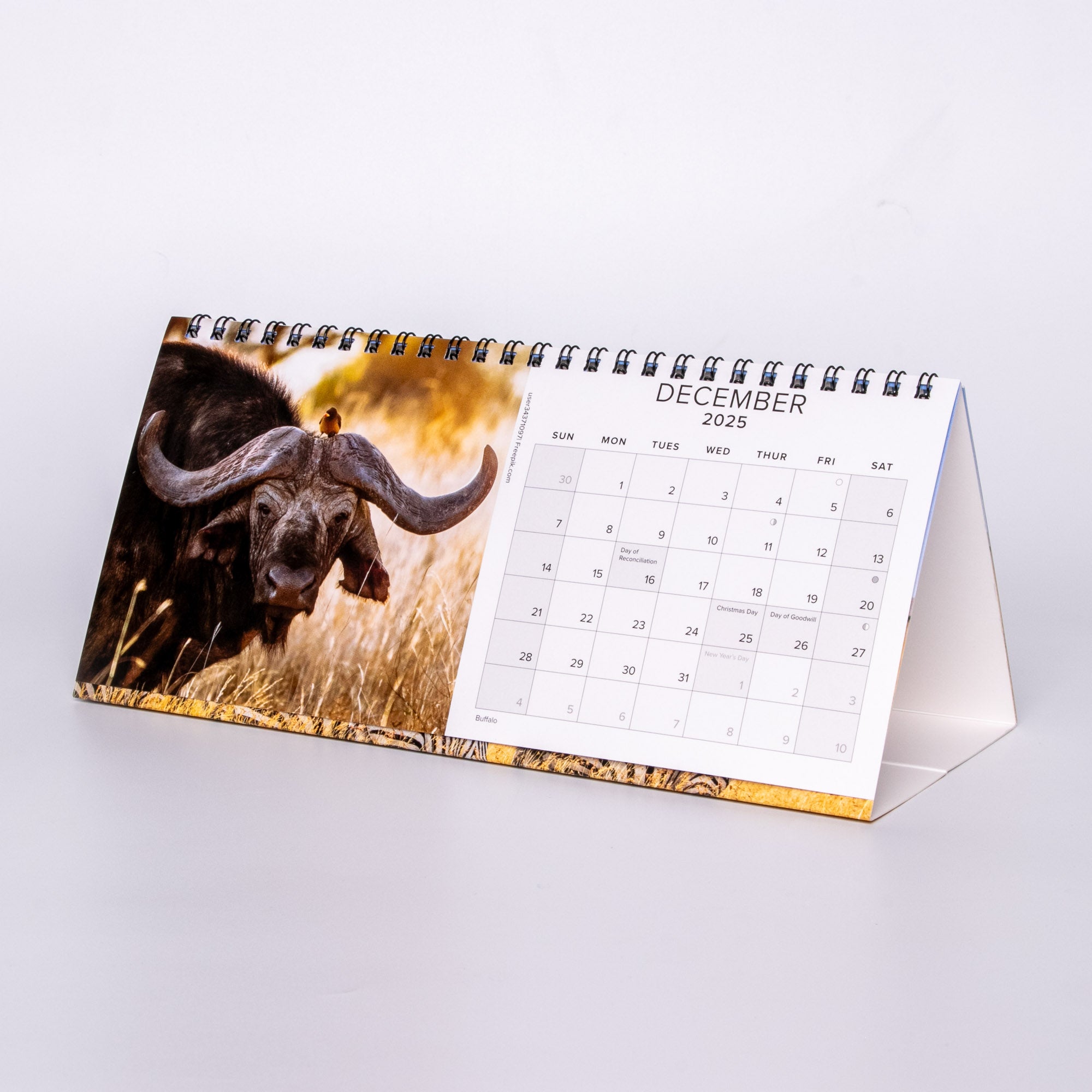 2025 South Africa Landscapes and Wildlife - Desk Top Calendar Medium