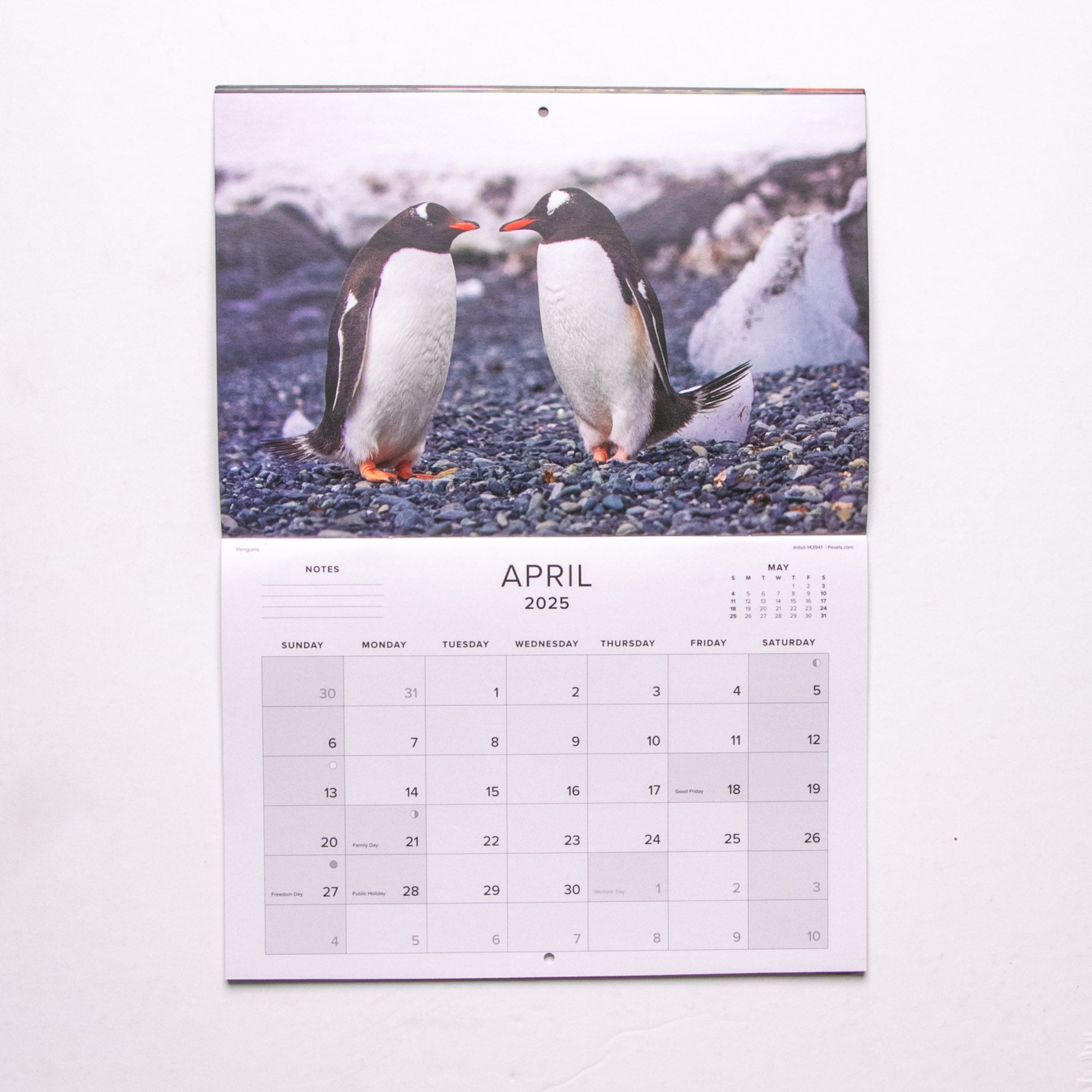 2025 Birds of Southern Africa Calendar - Medium