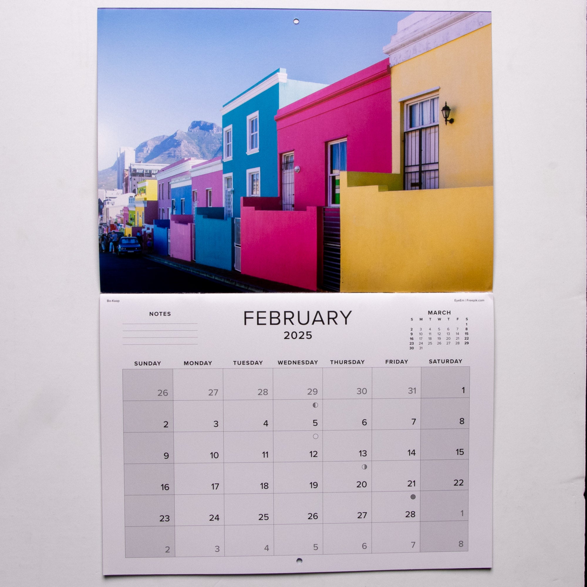 2025 Cape Town The Mother City Calendar - Large