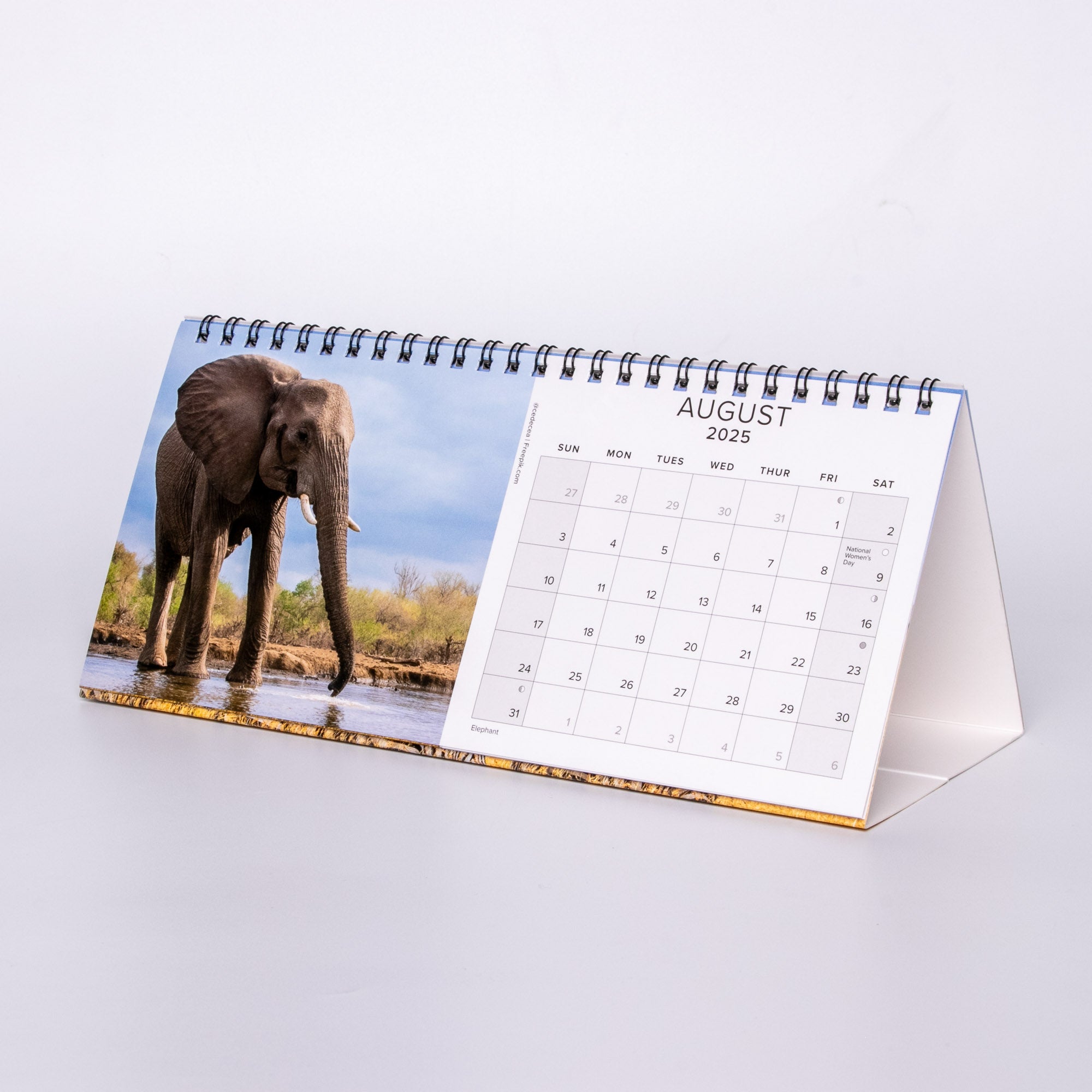 2025 South Africa Landscapes and Wildlife - Desk Top Calendar Medium