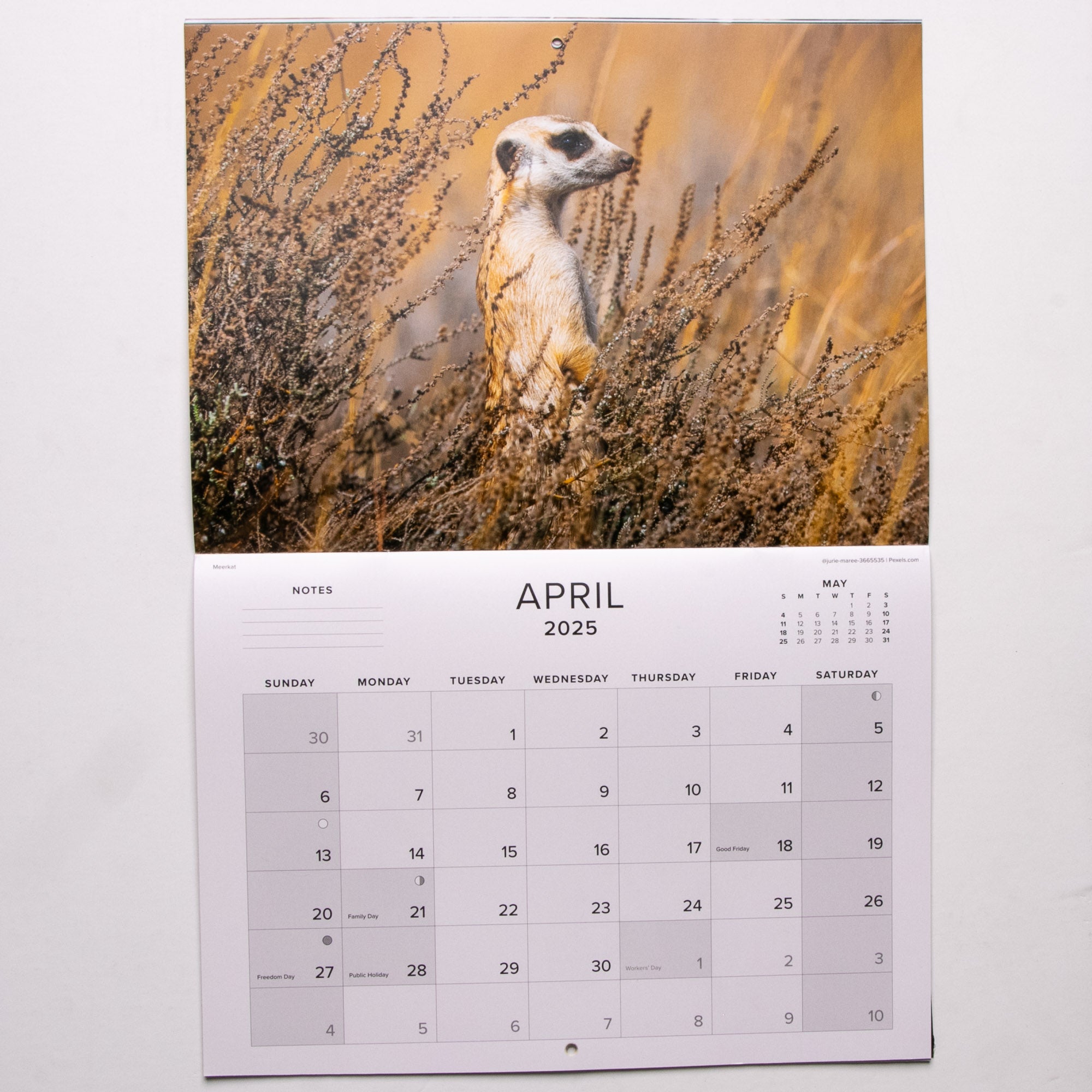 2025 Wildlife South Africa Calendar - Large