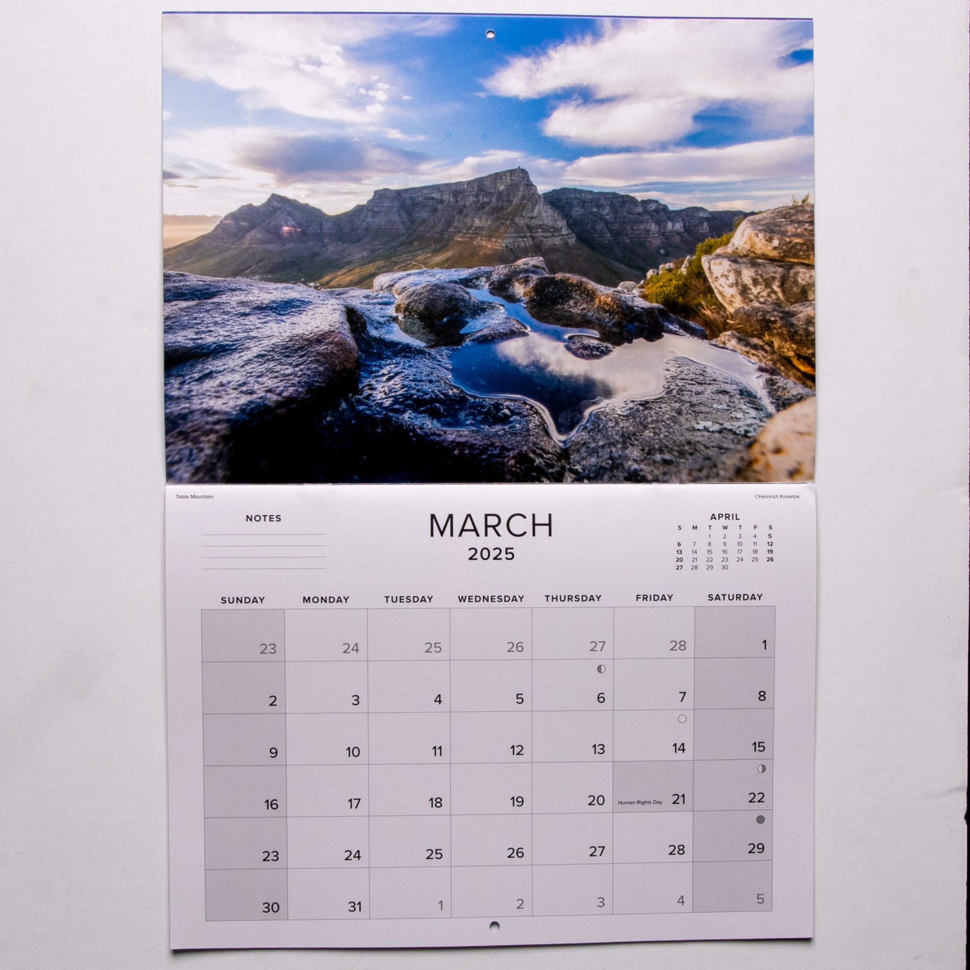 2025 Cape Town The Mother City Calendar - Large