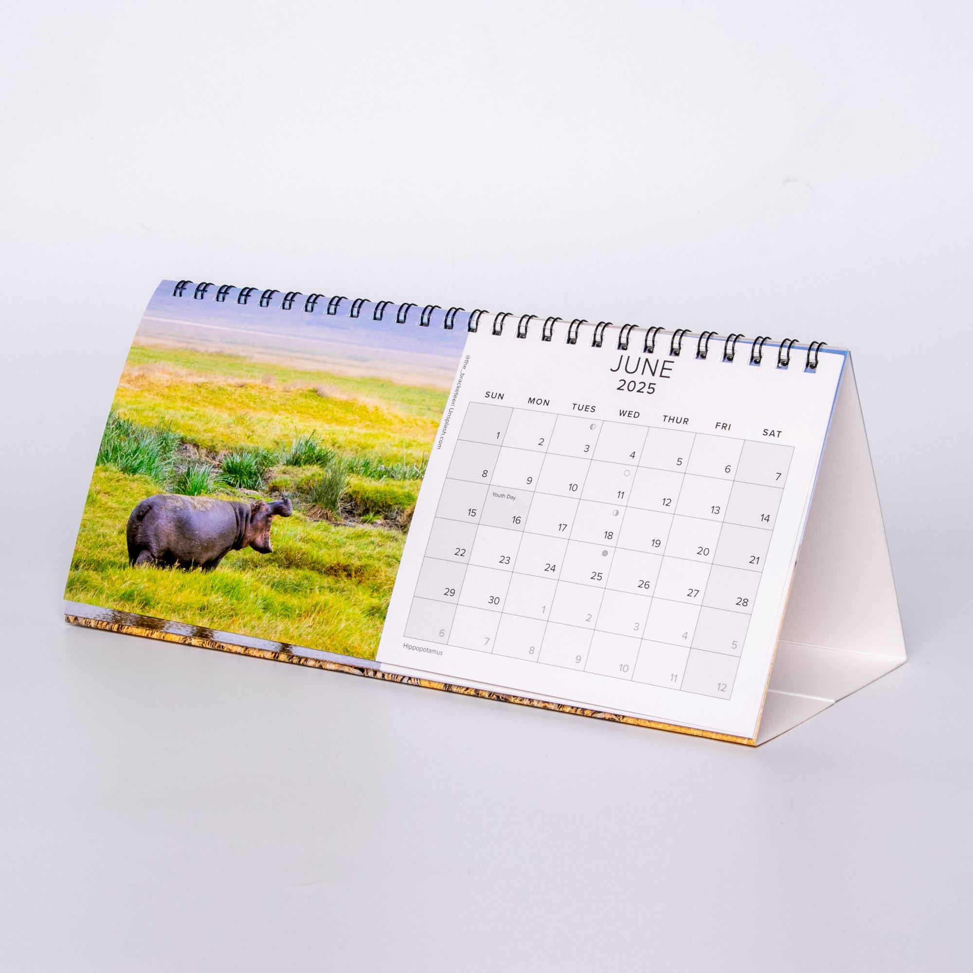 2025 South Africa Landscapes and Wildlife - Desk Top Calendar Medium