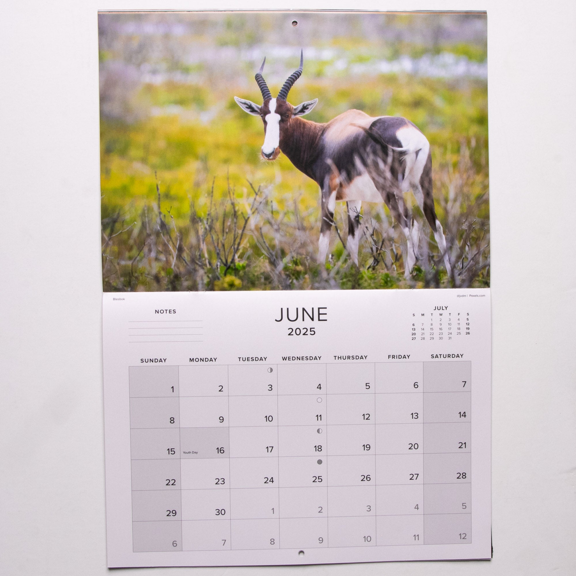 2025 Wildlife South Africa Calendar - Large