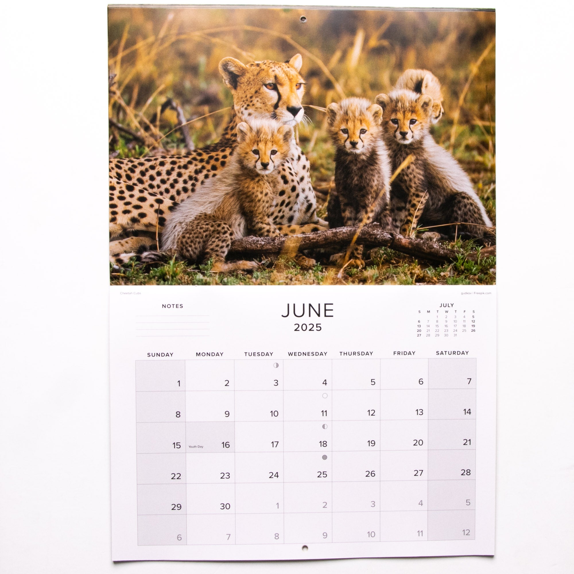 2025 Baby Wildlife of Southern Africa Calendar - Large